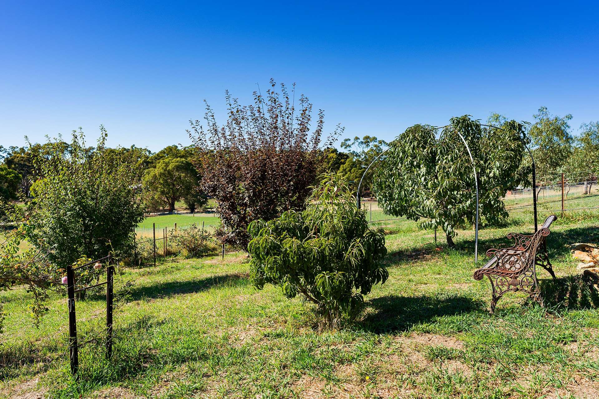 37 Neates Road, Campbells Creek Sold by Farmbuy.com - image 21