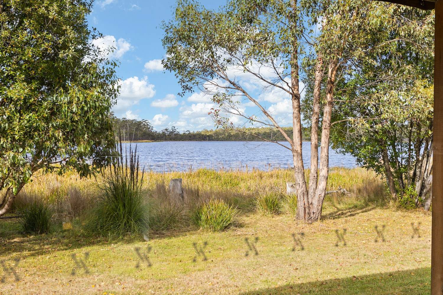 3340 Lake Leake Road, Lake Leake For Sale by Farmbuy.com - image 7