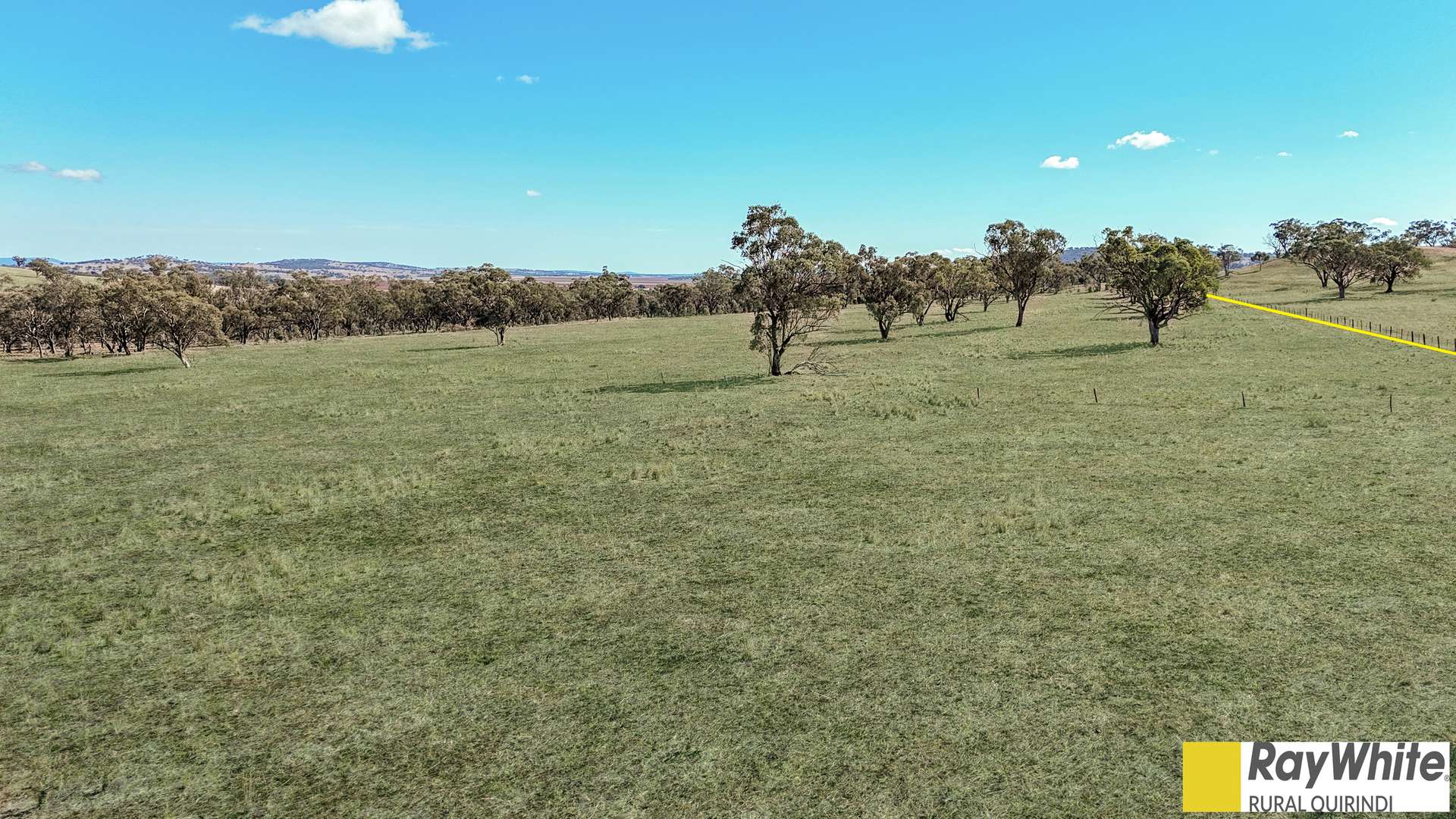 981 Merriwa Road, WARRAH, Willow Tree For Sale by Farmbuy.com - image 4