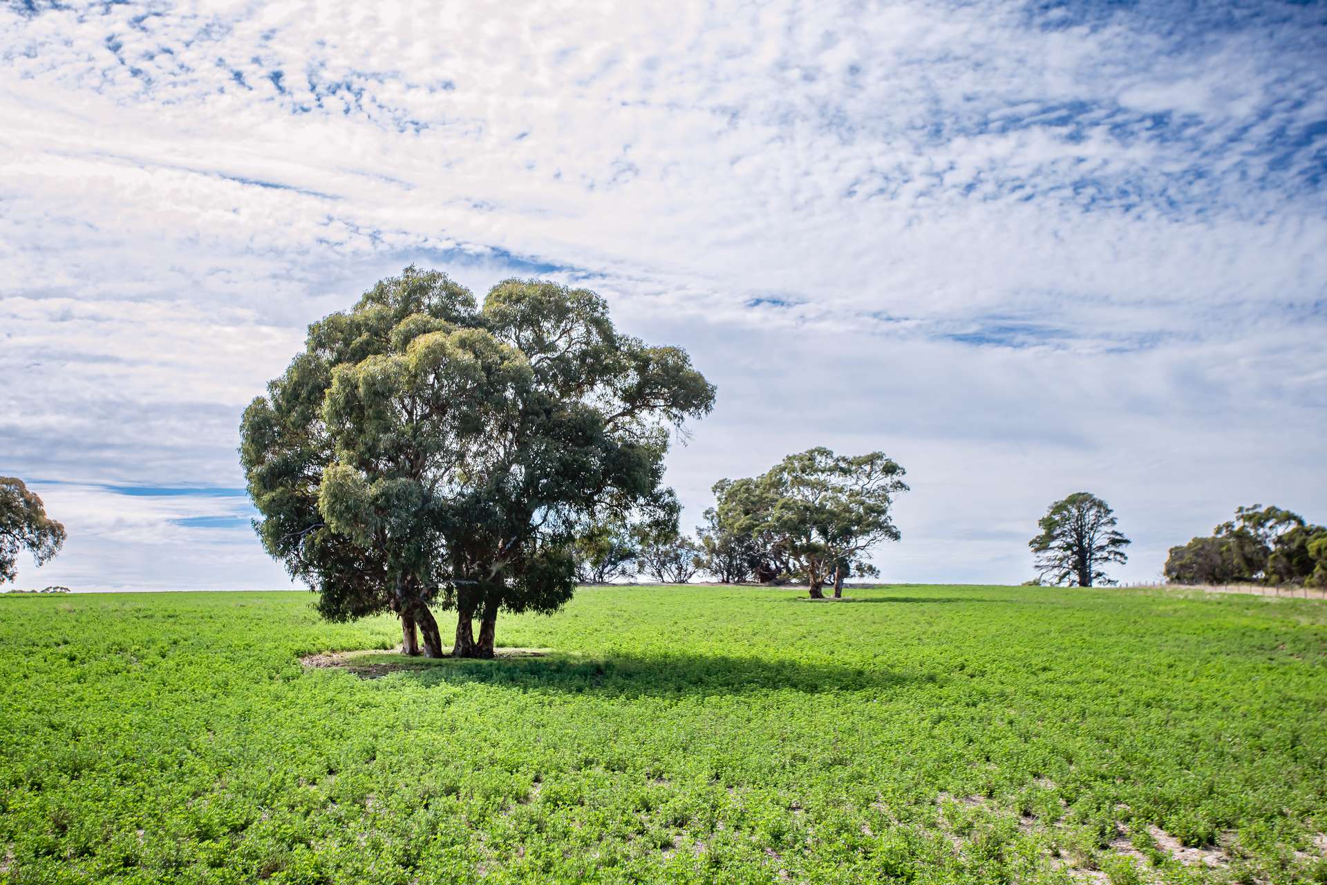 1089 Pedericks Road, Lochaber For Sale by Farmbuy.com - image 7