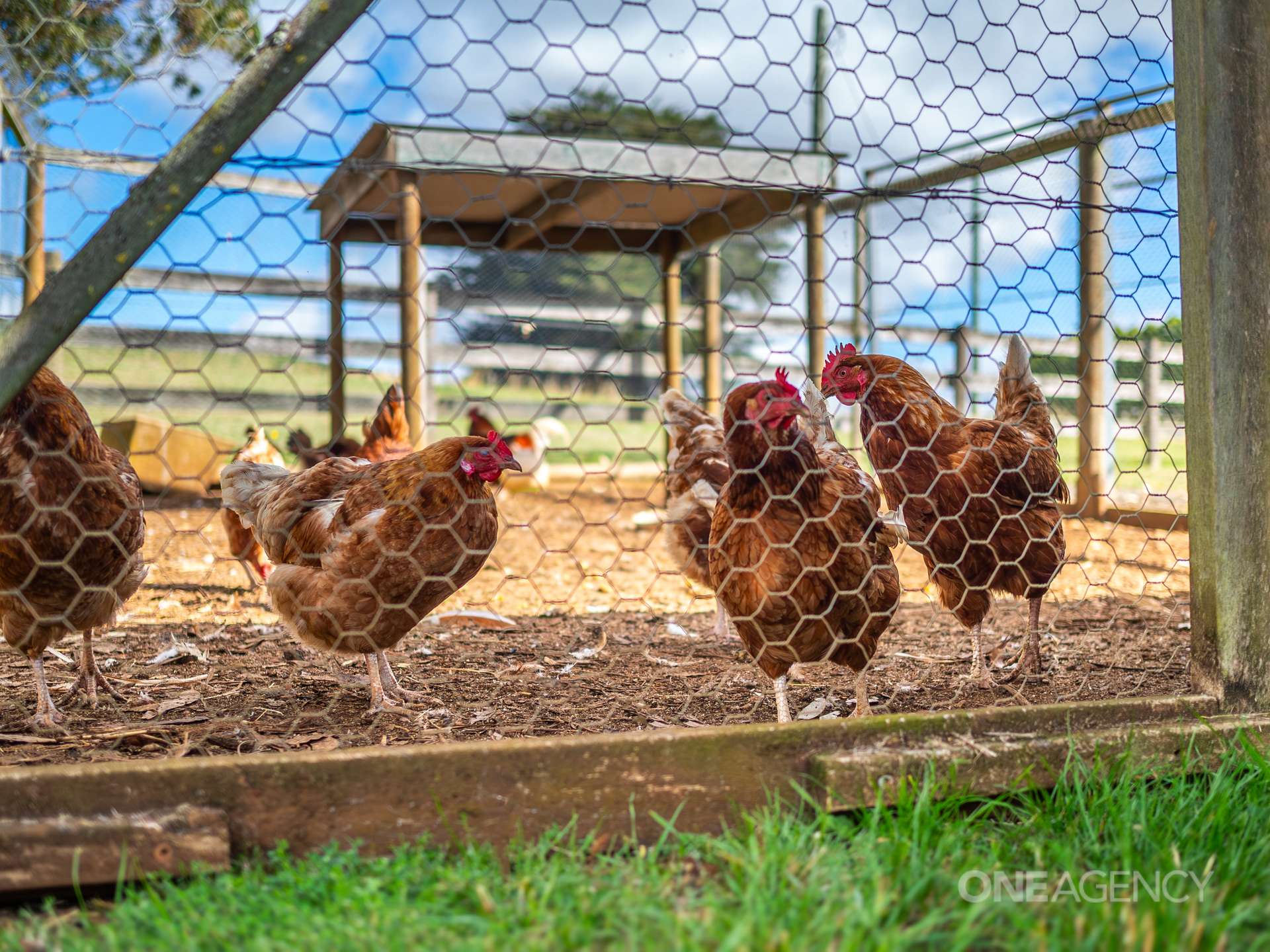 439 Natone Road, Natone For Sale by Farmbuy.com - image 32