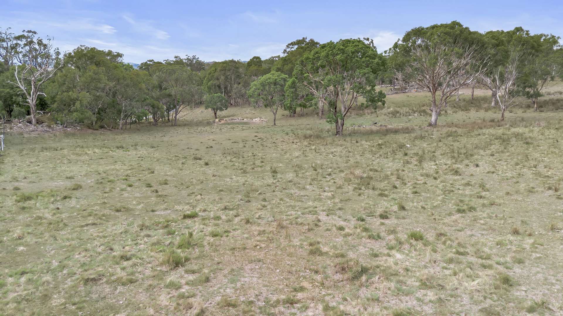 Lot 43 Sunnyside Loop Road, Tenterfield For Sale by Farmbuy.com - image 4