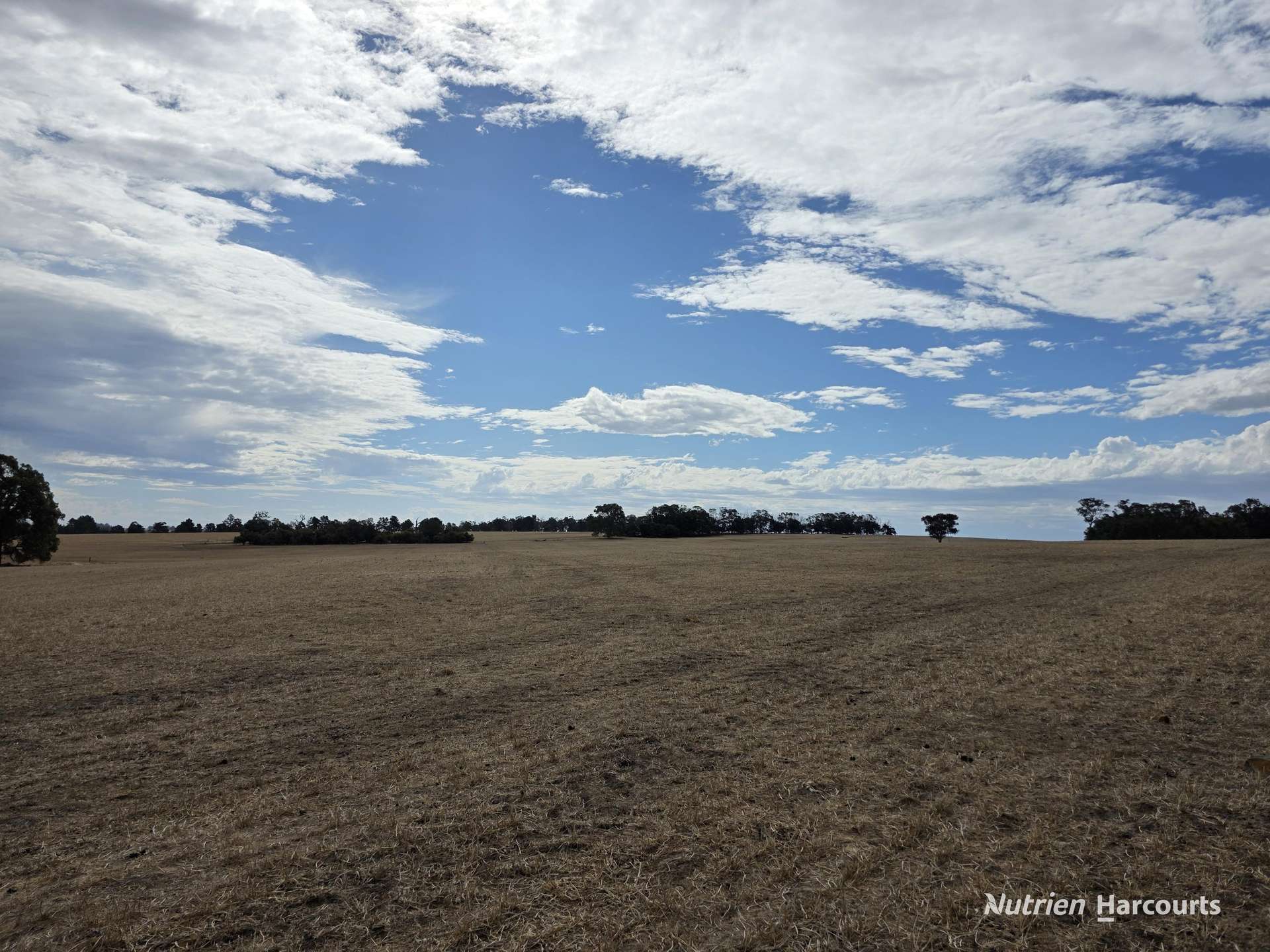 "Bloomvale", Bloomfields Road, Scotts Brook For Sale by Farmbuy.com - image 26
