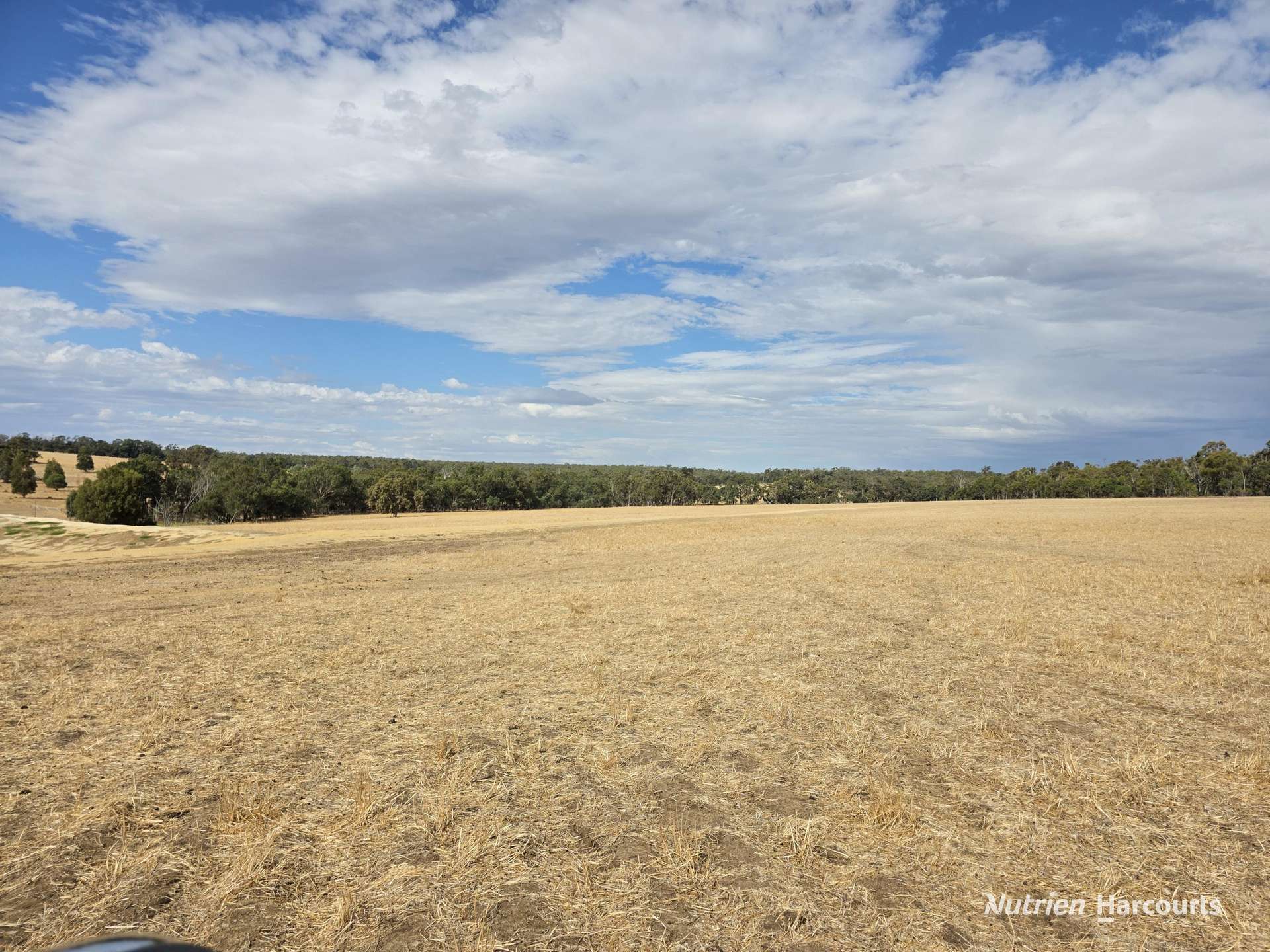 "Bloomvale", Bloomfields Road, Scotts Brook For Sale by Farmbuy.com - image 3