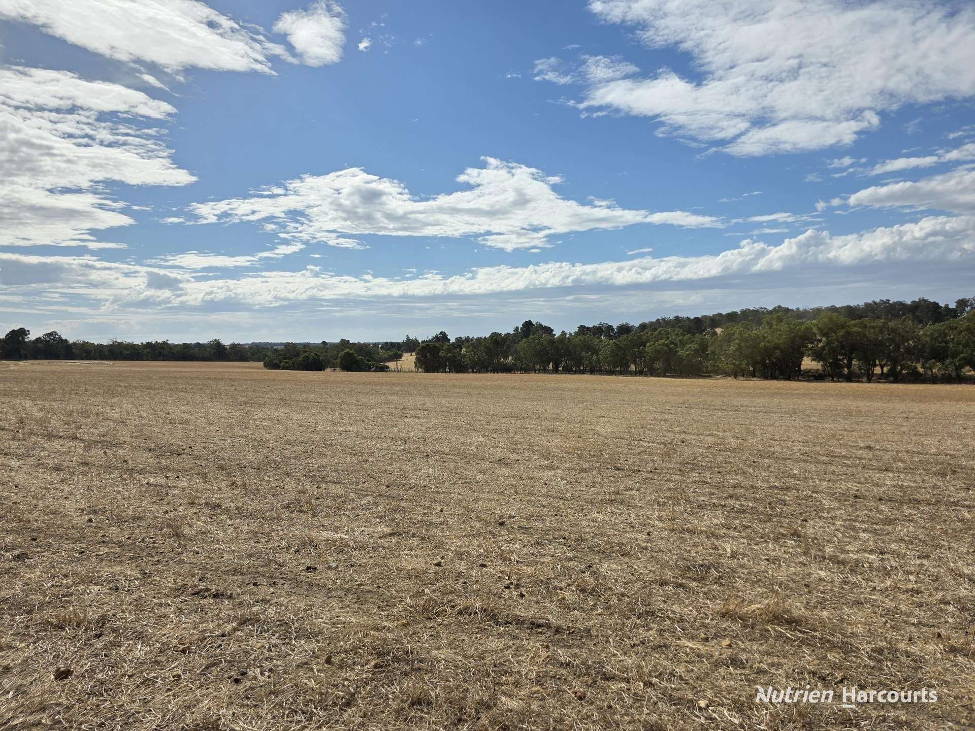 "Bloomvale", Bloomfields Road, Scotts Brook For Sale by Farmbuy.com - image 33