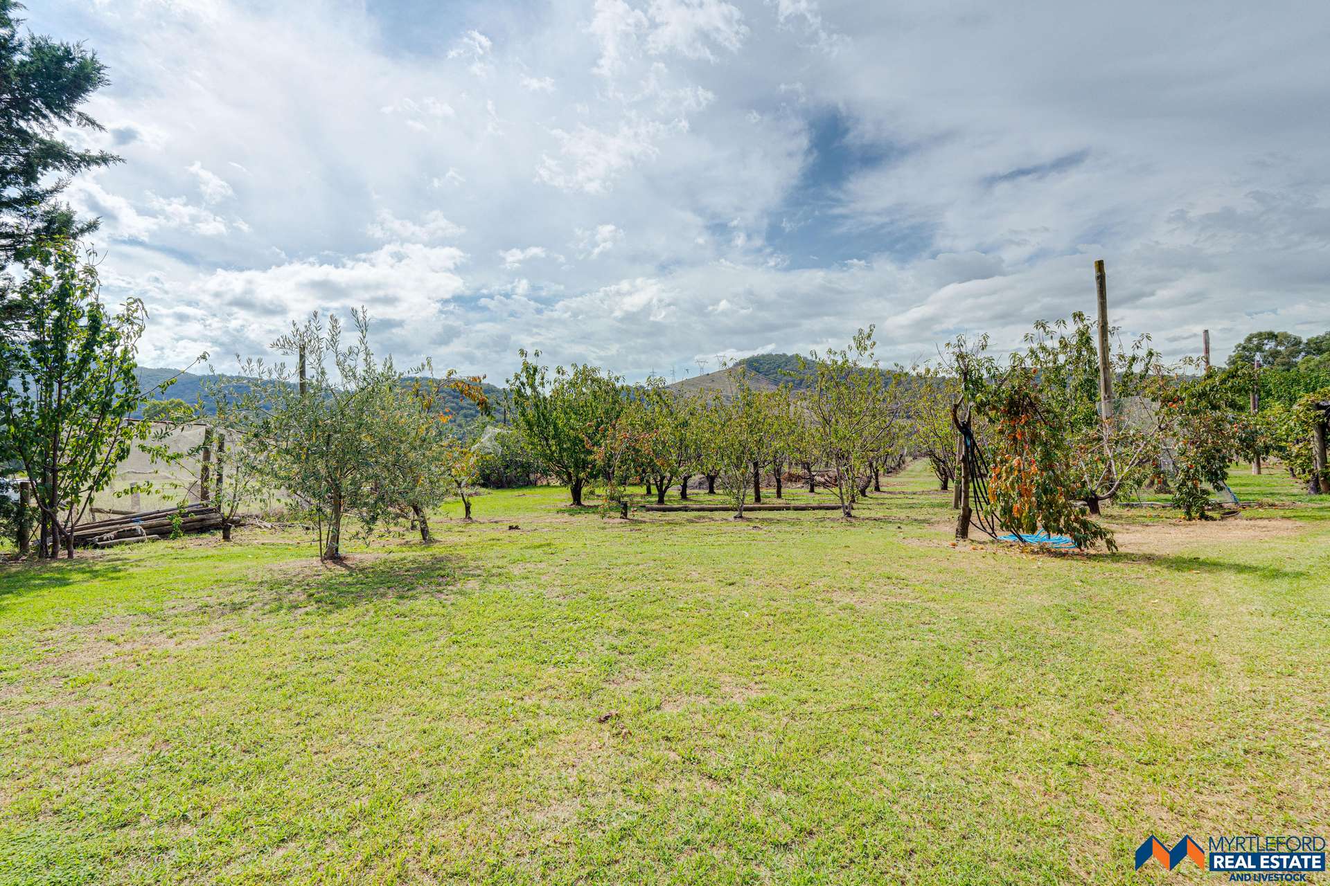 22 Lower River Rd, Myrtleford For Sale by Farmbuy.com - image 25