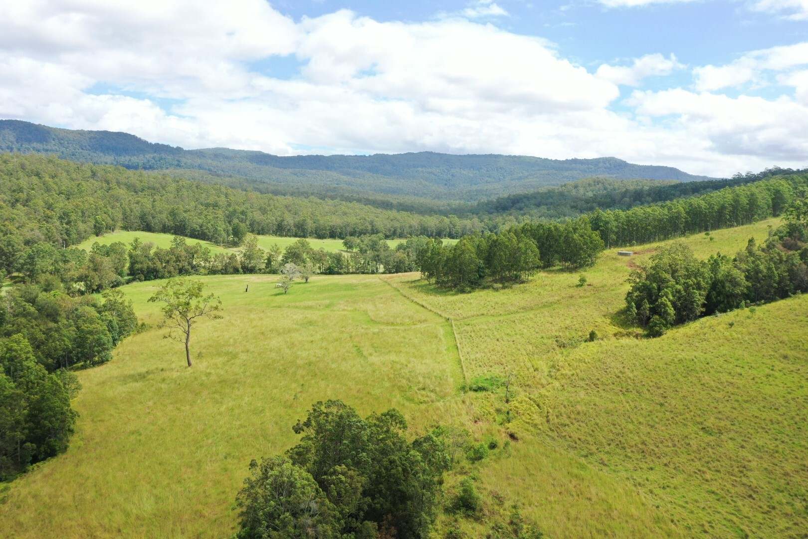 Lot 10 Iron Pot Creek Road, Kyogle For Sale by Farmbuy.com - image 25
