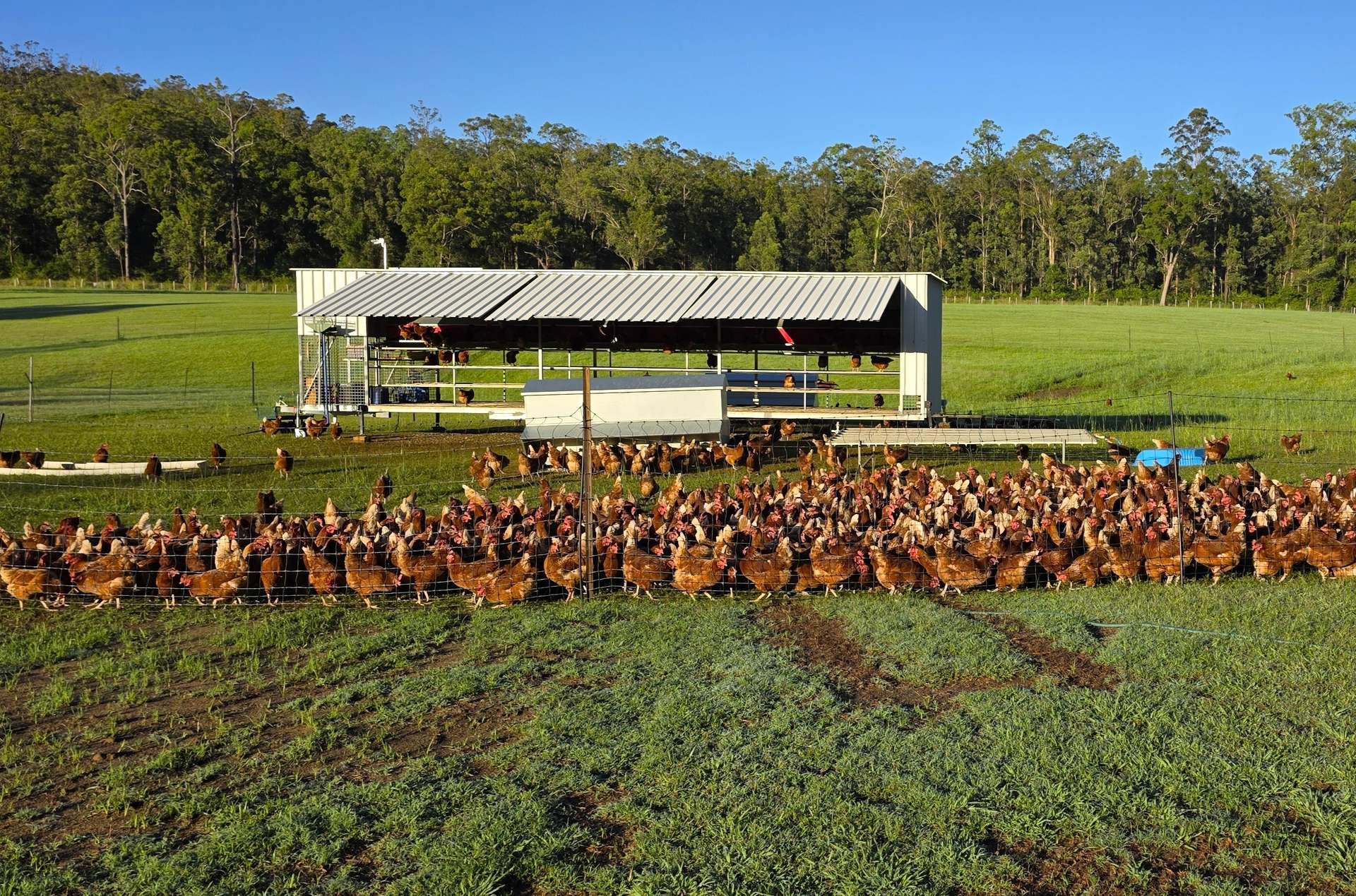 Lot 10 Iron Pot Creek Road, Kyogle For Sale by Farmbuy.com - image 11