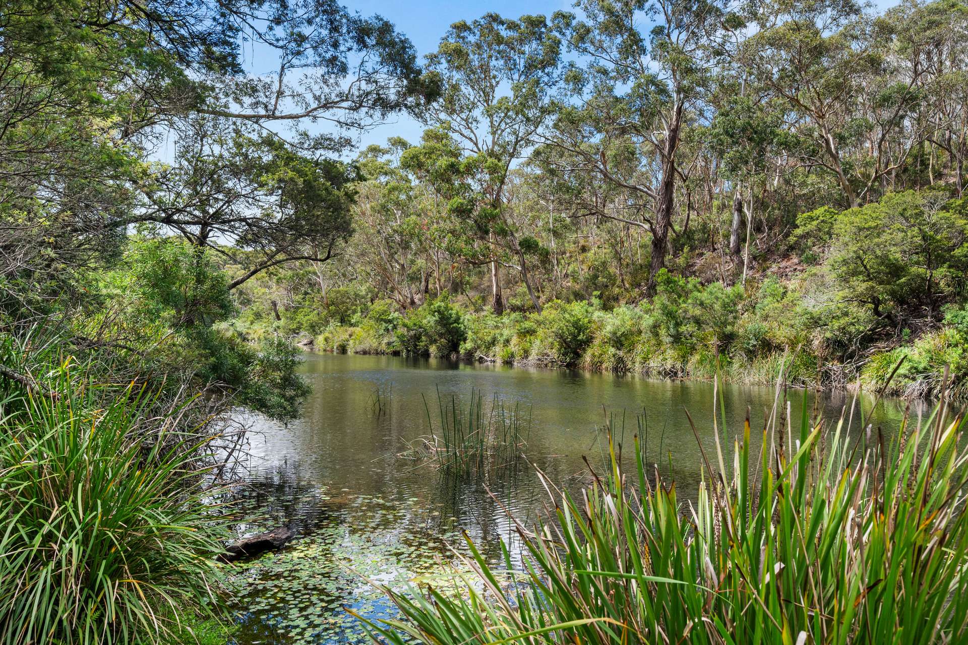147 Webbs Road, Braidwood For Sale by Farmbuy.com - image 20