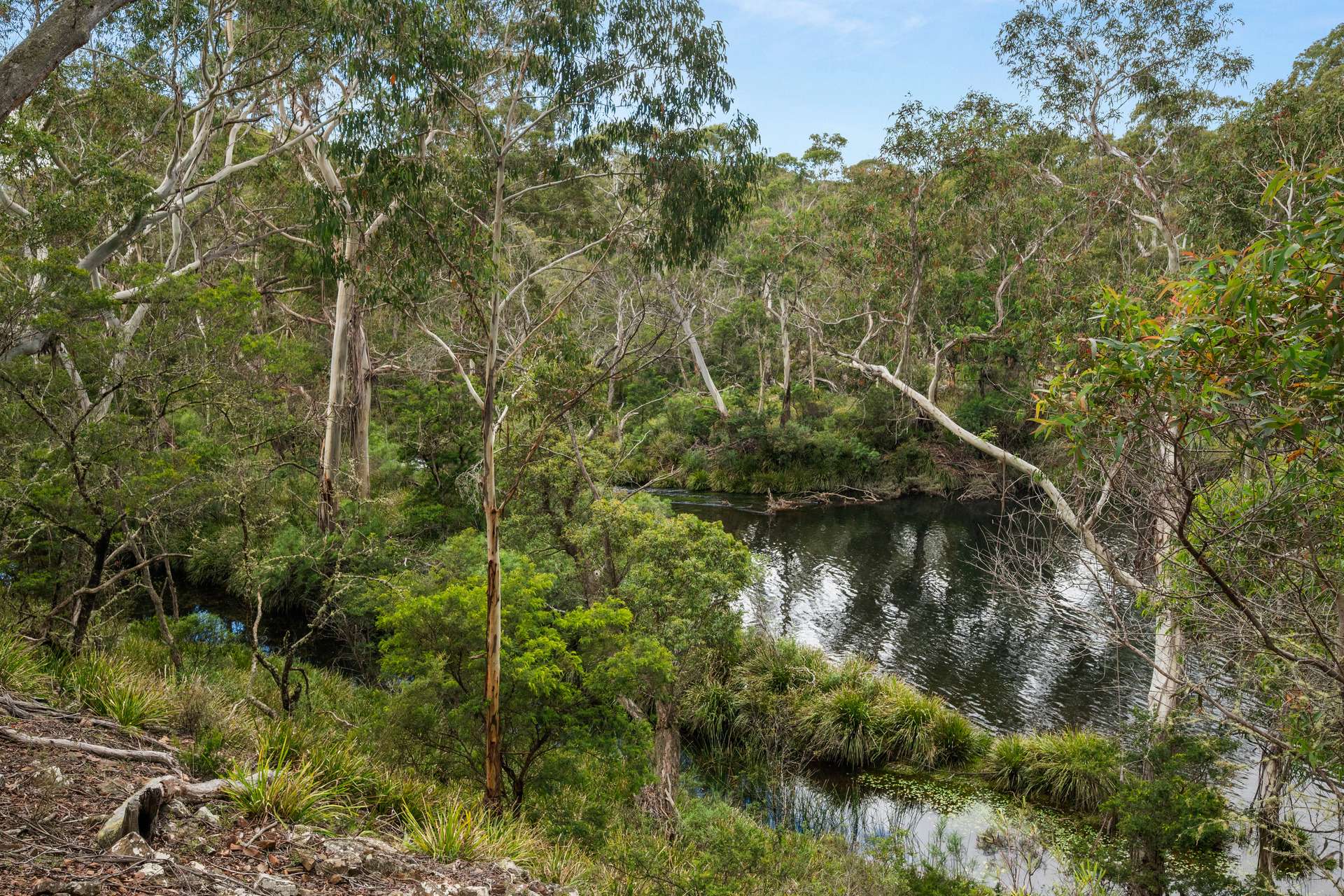 147 Webbs Road, Braidwood For Sale by Farmbuy.com - image 27