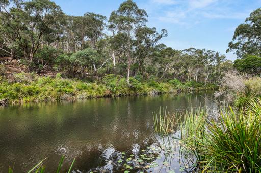 Farm For Sale - NSW - Braidwood - 2622 - Exceptional Recreational Holding with Expansive Mongarlowe River Frontage 