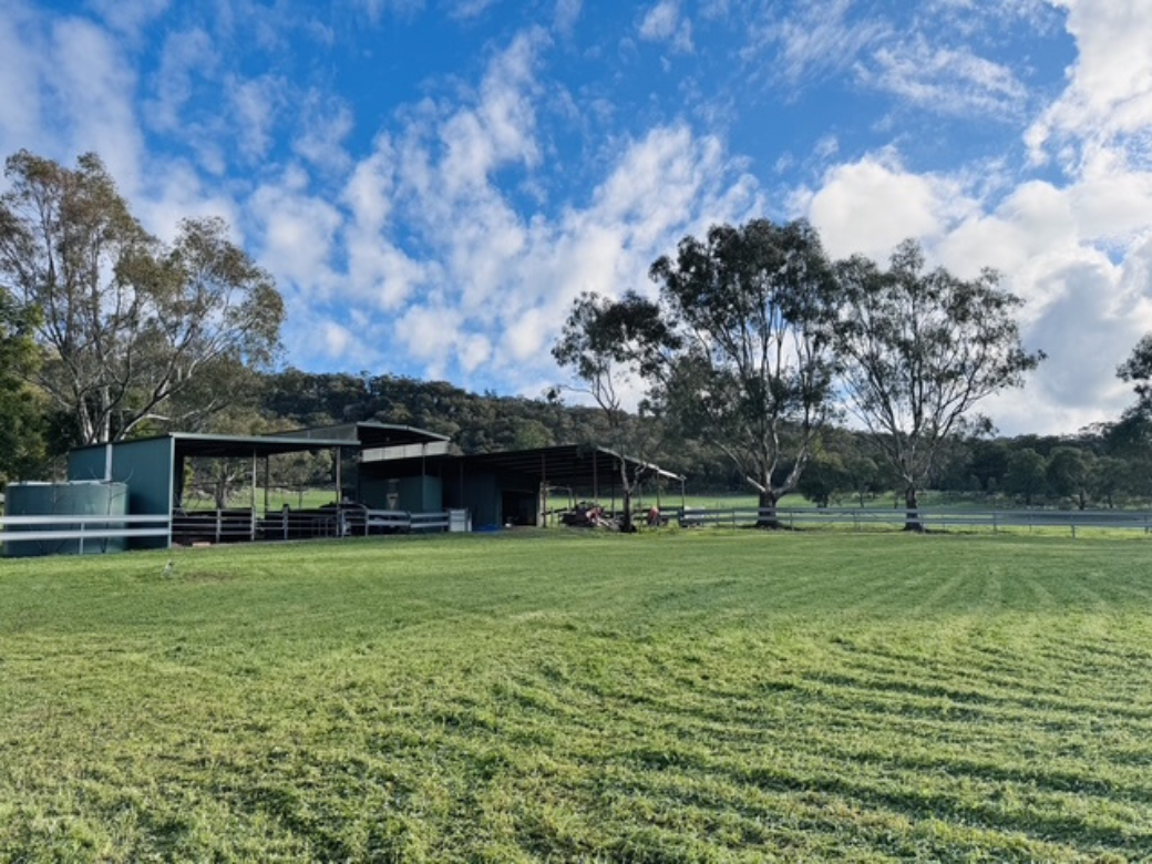 231 Wilkinsons Lane, Euroa For Sale by Farmbuy.com - image 15