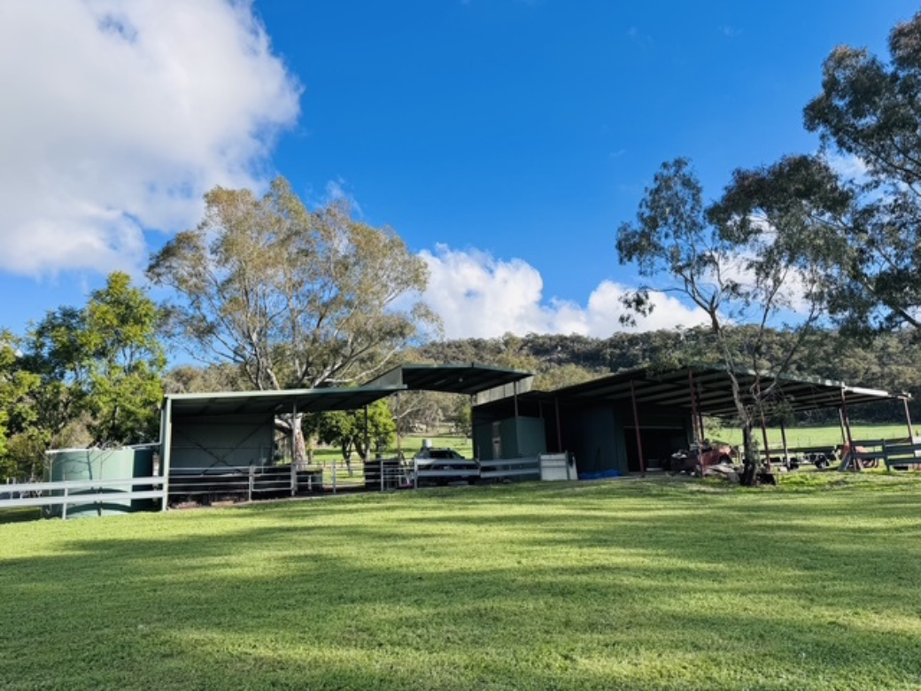 231 Wilkinsons Lane, Euroa For Sale by Farmbuy.com - image 3