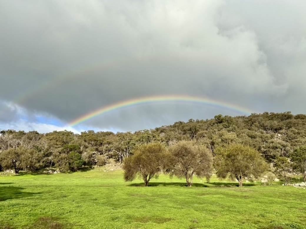 231 Wilkinsons Lane, Euroa For Sale by Farmbuy.com - image 23