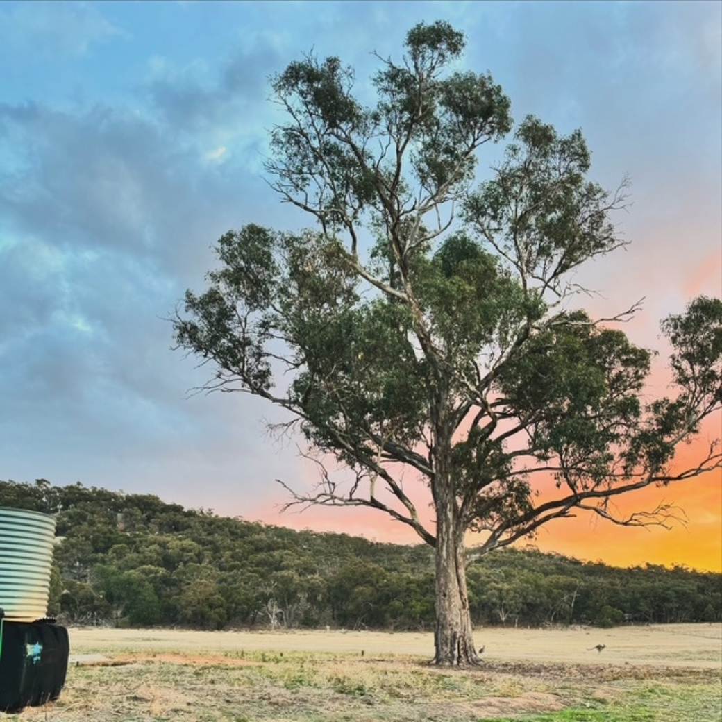 231 Wilkinsons Lane, Euroa For Sale by Farmbuy.com - image 5
