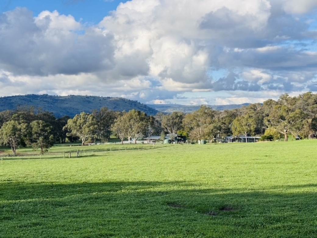 231 Wilkinsons Lane, Euroa For Sale by Farmbuy.com - image 8