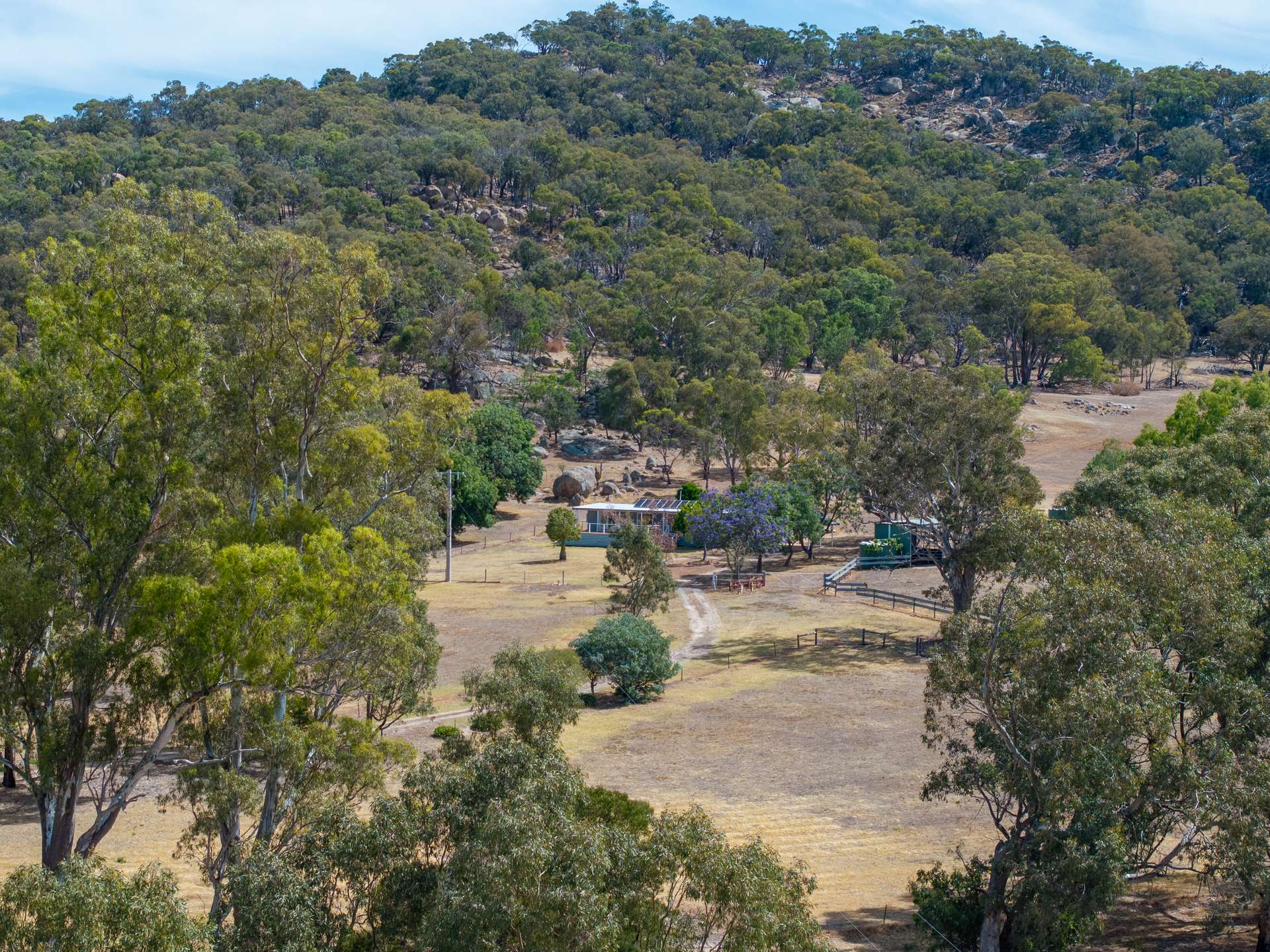 231 Wilkinsons Lane, Euroa For Sale by Farmbuy.com - image 4