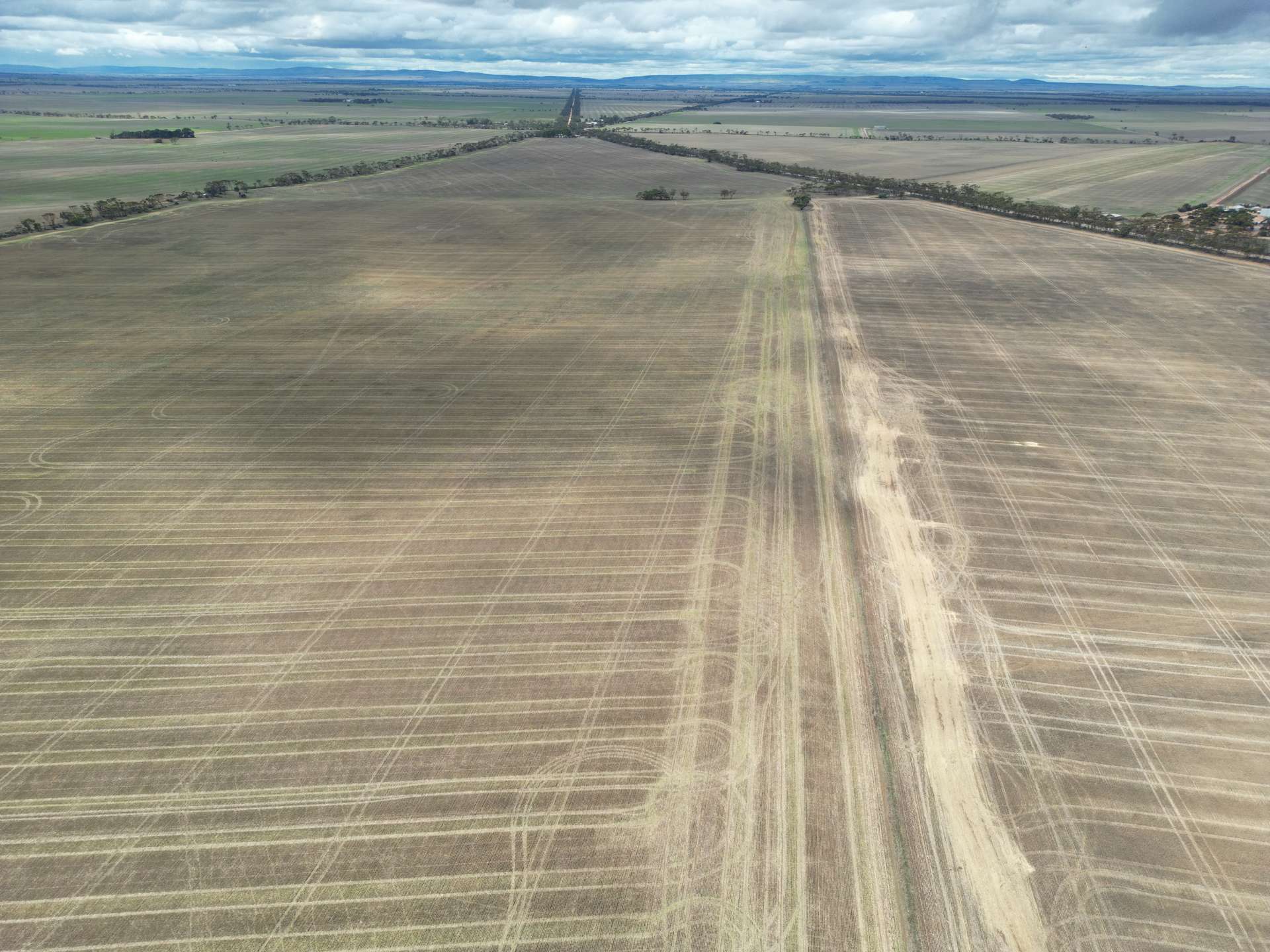 A2 Bute Road, Willamulka For Sale by Farmbuy.com - image 1