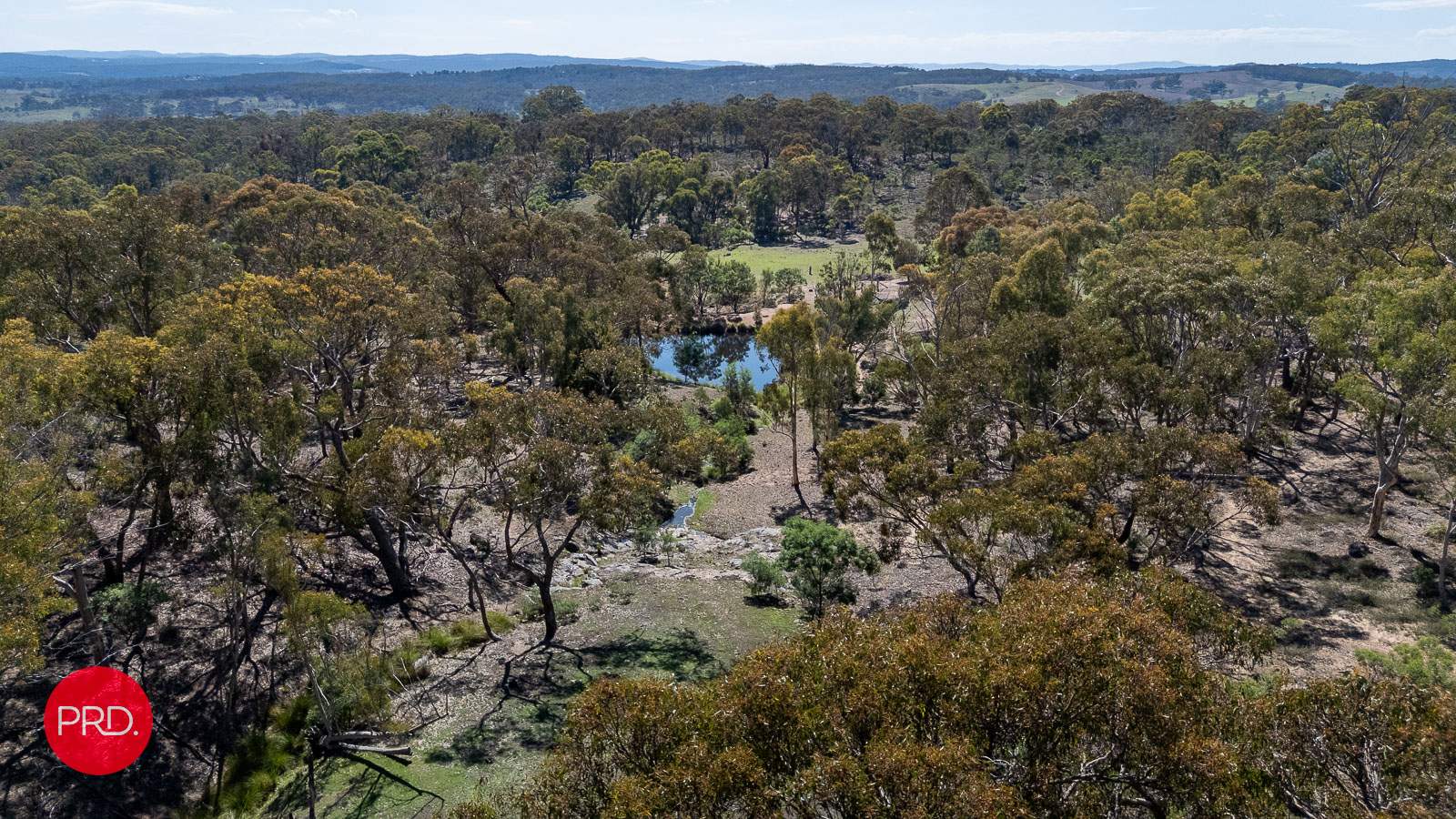 141 Shepherd Road, Bywong For Sale by Farmbuy.com - image 35