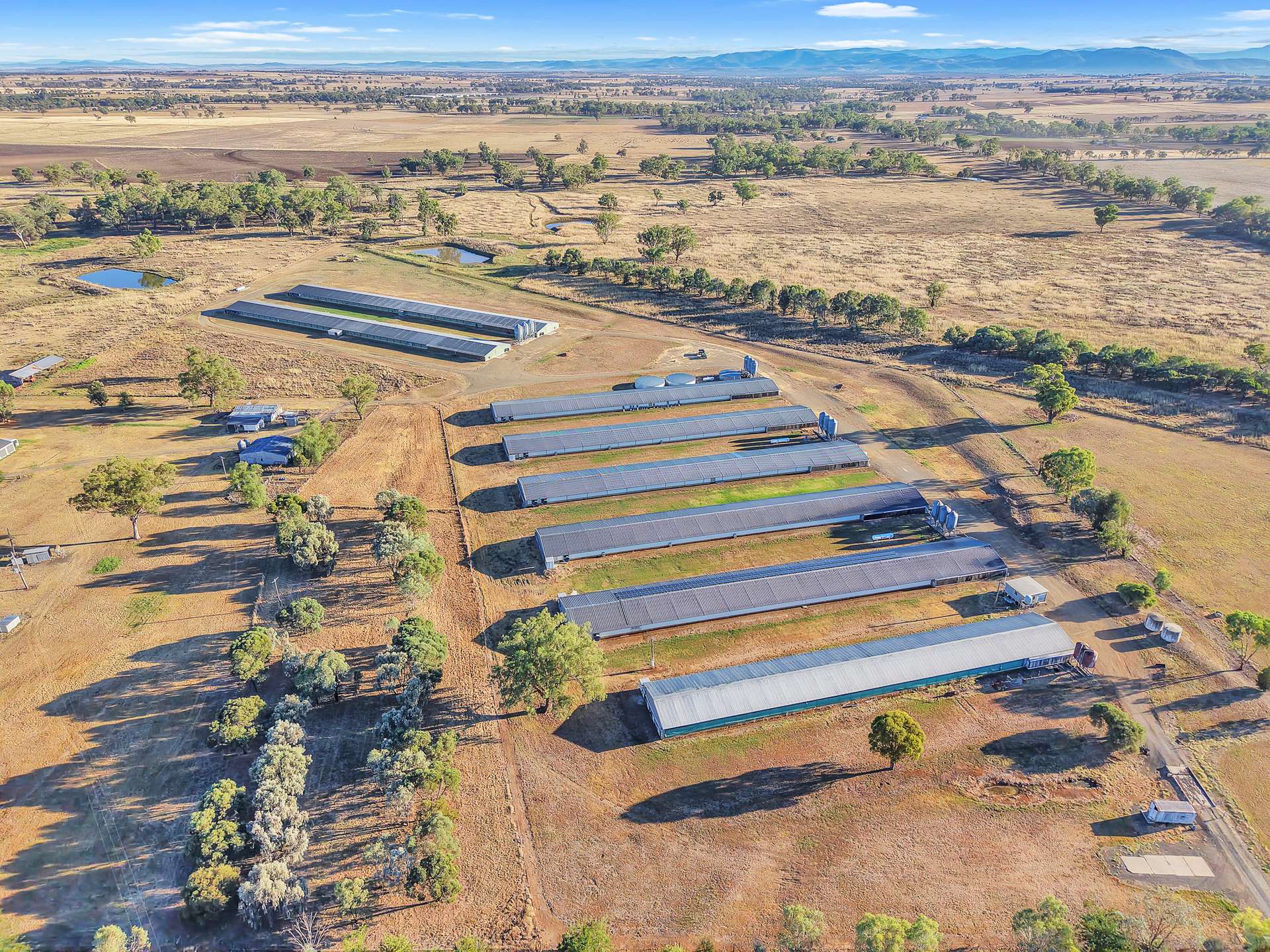 231 Duri-Dungowan Road, Duri For Sale by Farmbuy.com - image 3