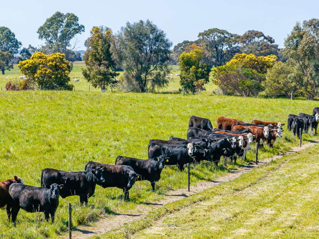 3258 Riddoch Highway, Willalooka SA 5267
