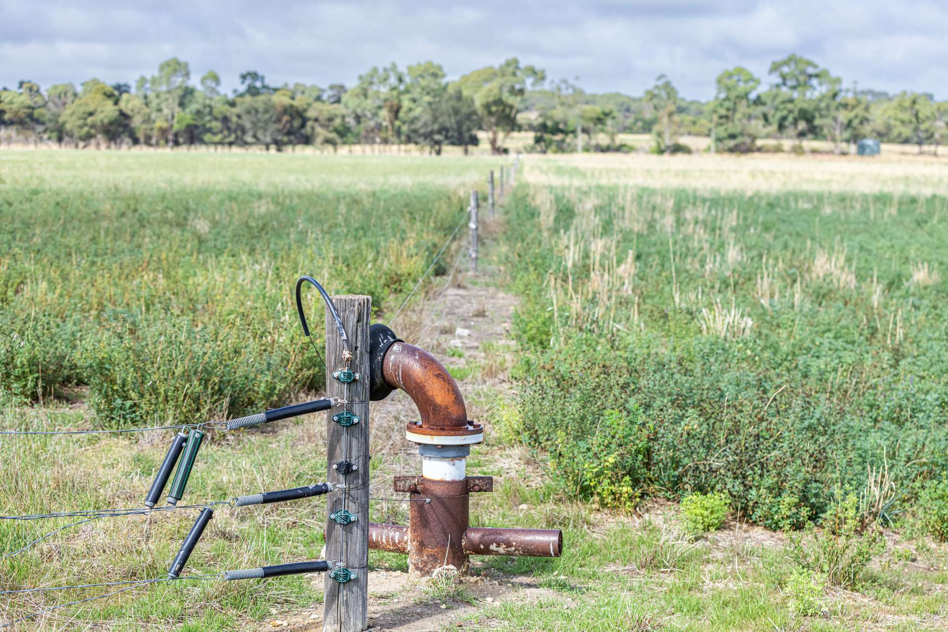 3258 Riddoch Highway, Willalooka For Sale by Farmbuy.com - image 8