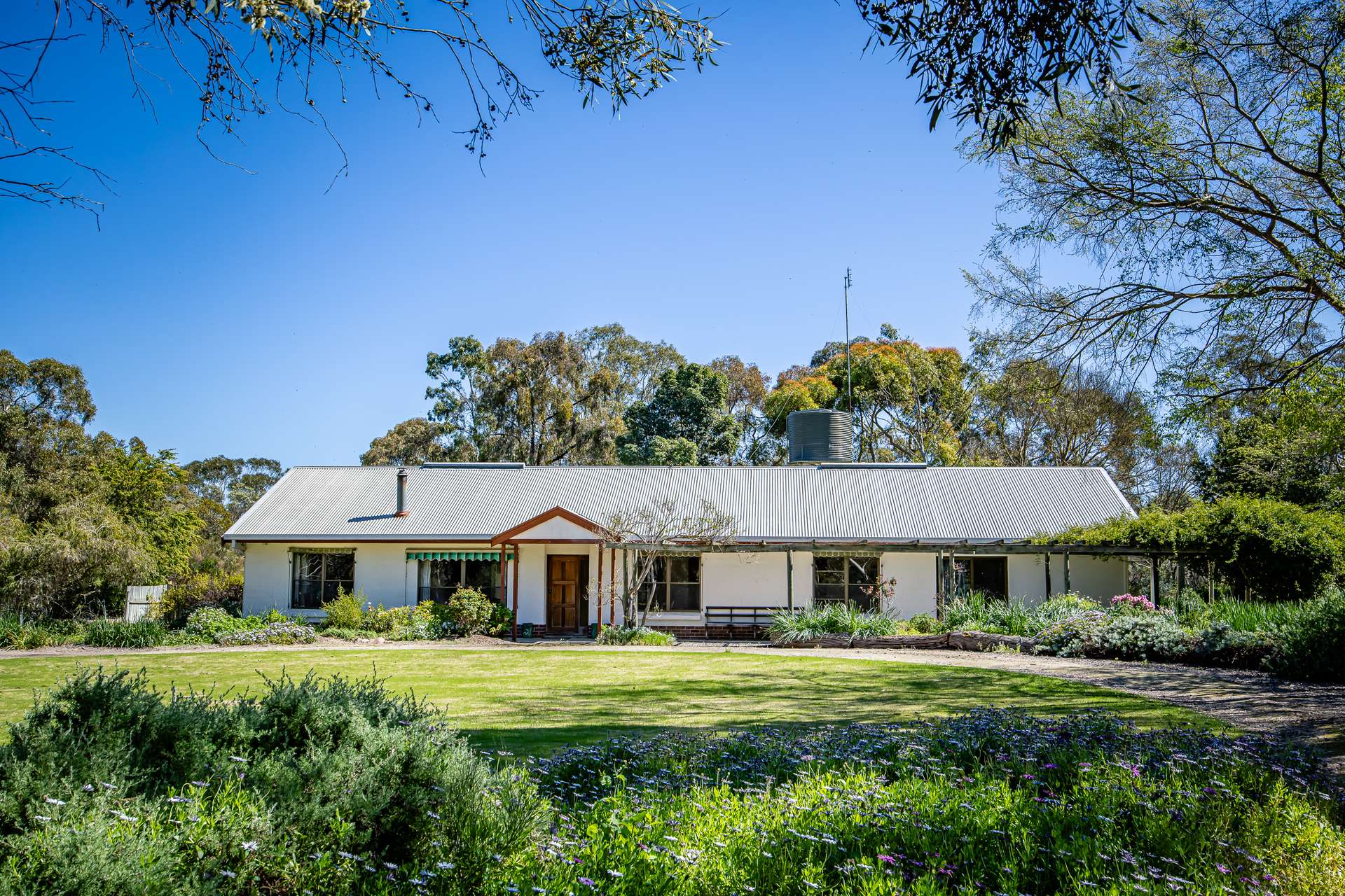 3258 Riddoch Highway, Willalooka For Sale by Farmbuy.com - image 7