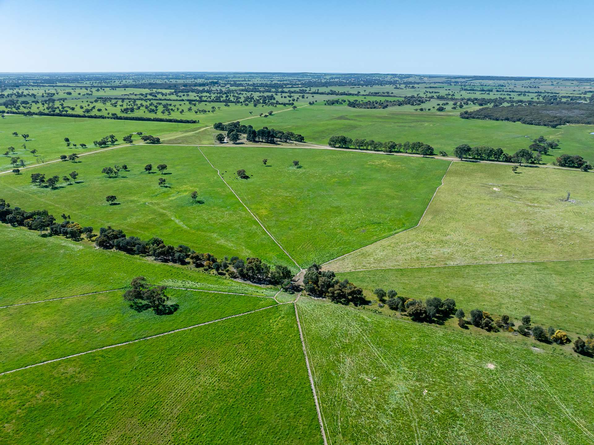 3258 Riddoch Highway, Willalooka For Sale by Farmbuy.com - image 3