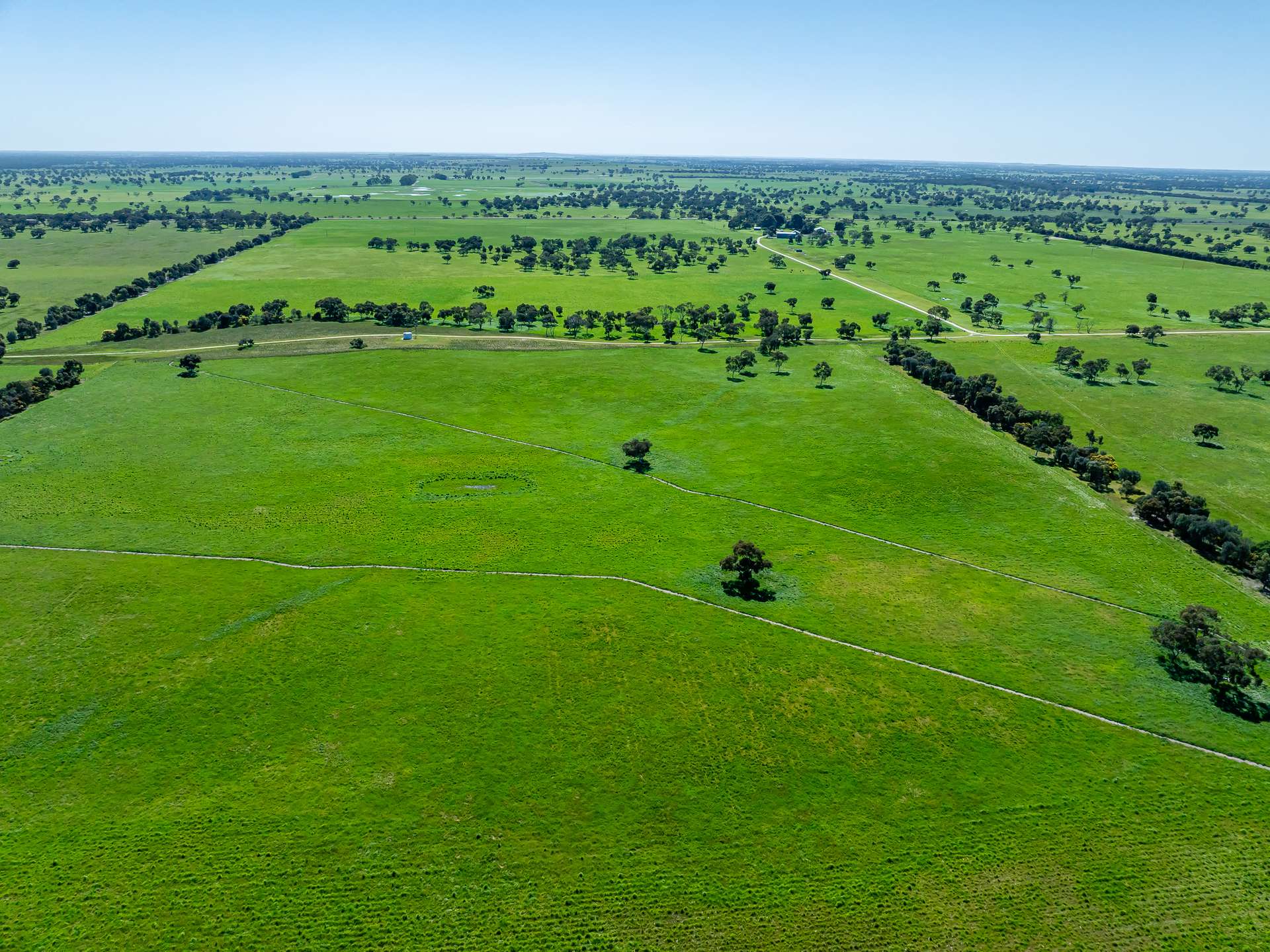3258 Riddoch Highway, Willalooka For Sale by Farmbuy.com - image 2