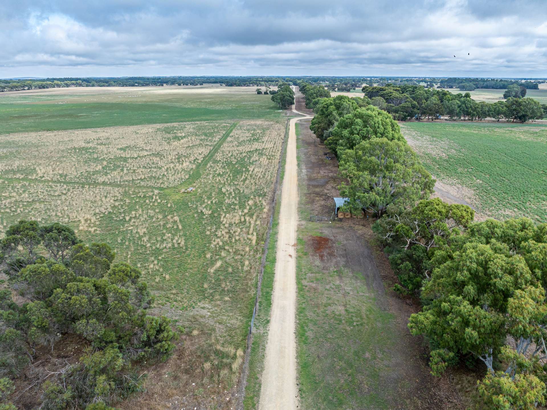 3258 Riddoch Highway, Willalooka For Sale by Farmbuy.com - image 9