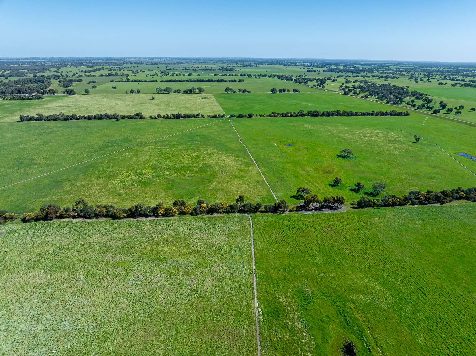 3258 Riddoch Highway, Willalooka For Sale by Farmbuy.com - image 11