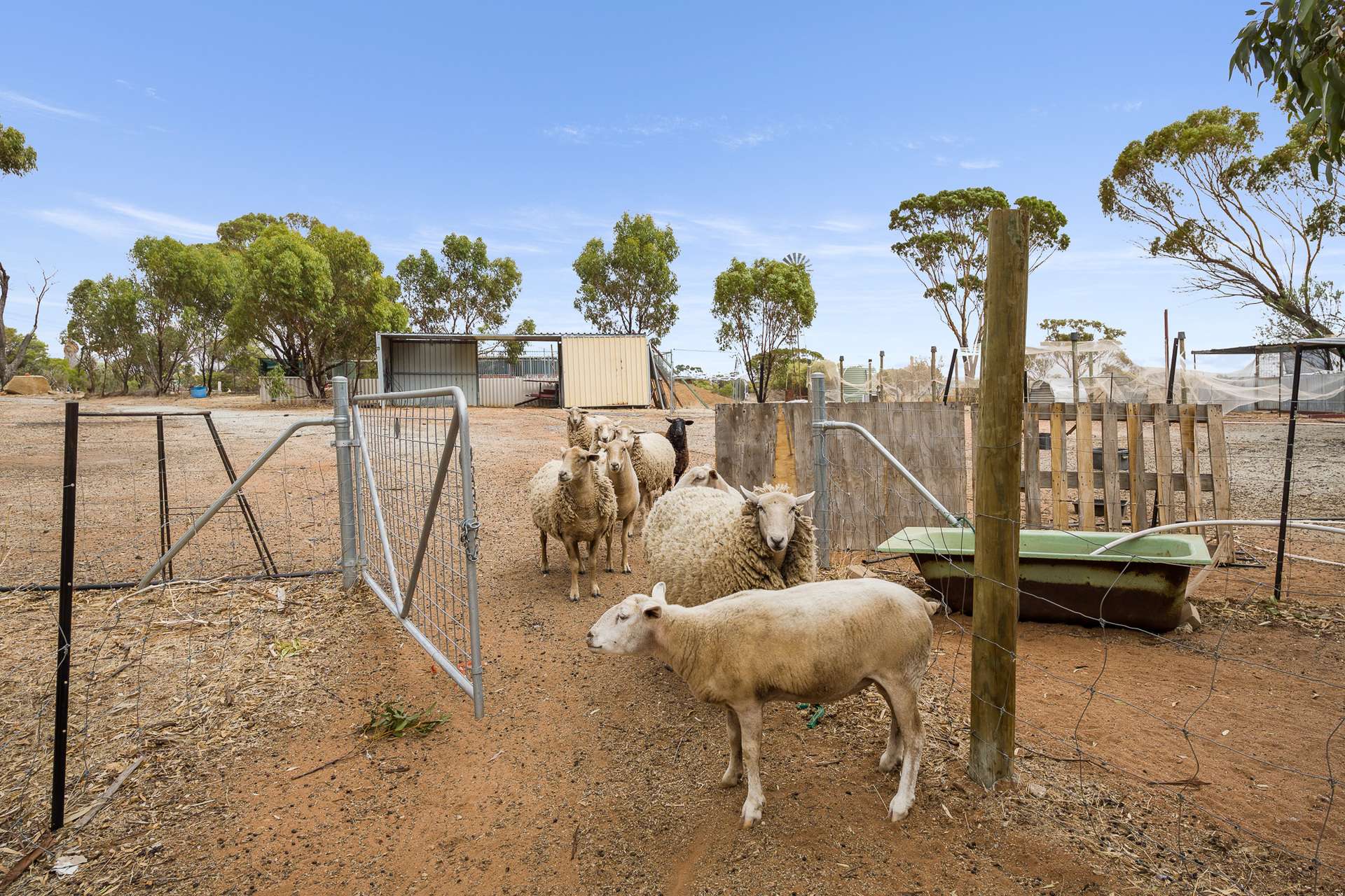 21 York Gum Drive, Goomalling For Sale by Farmbuy.com - image 25