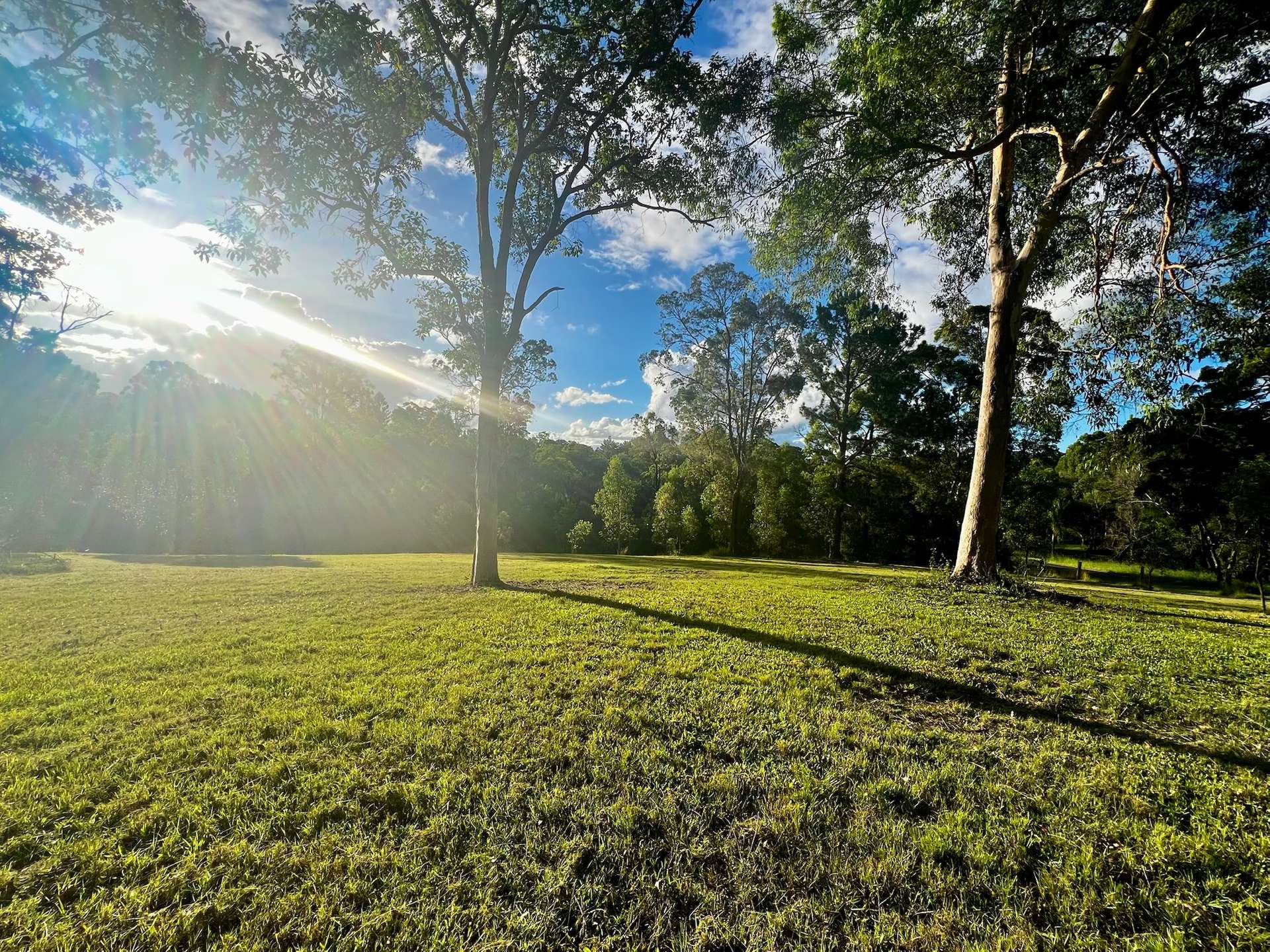62 Old Mill Road, Carters Ridge For Sale by Farmbuy.com - image 8