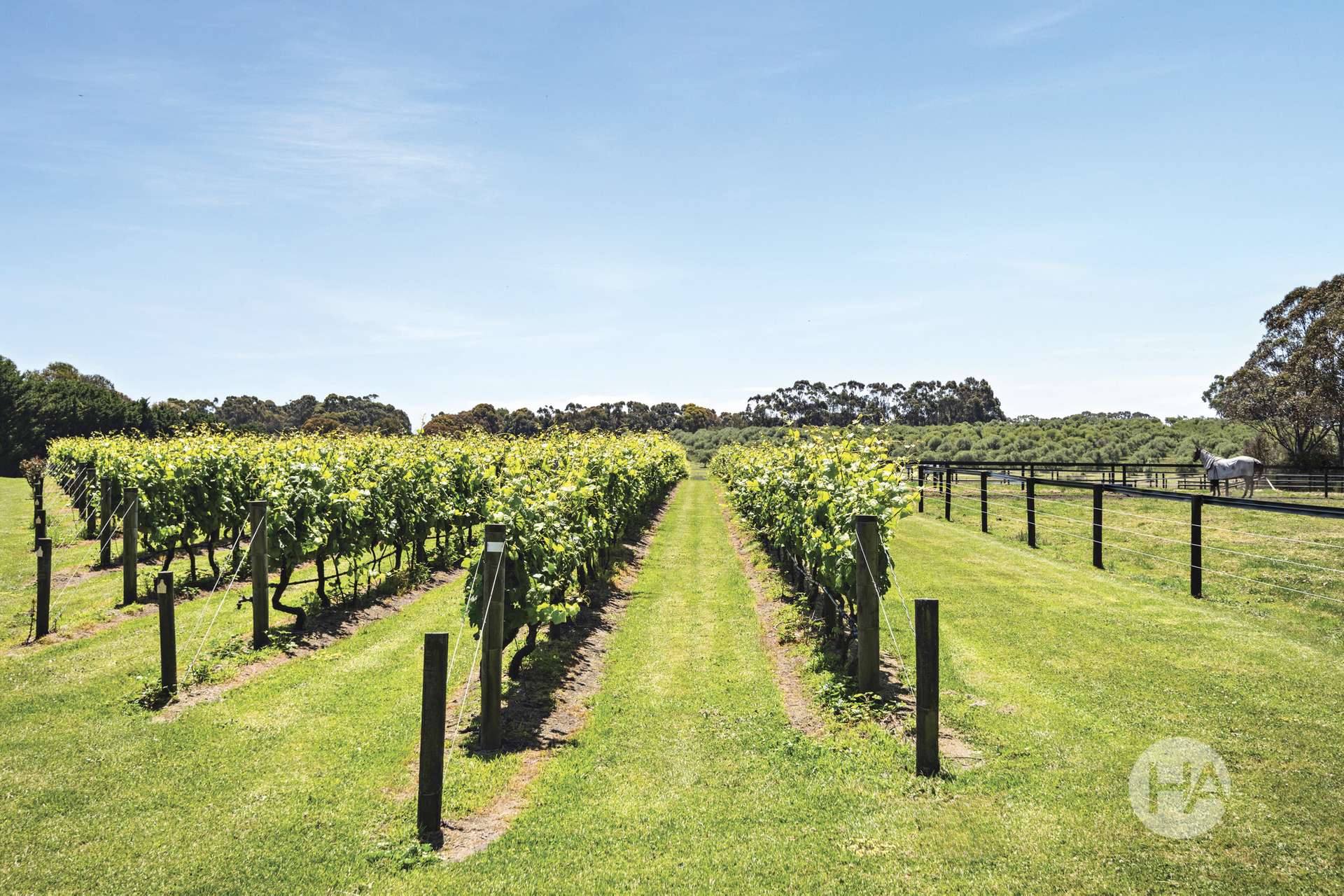 225/245A Guy Road, Corinella For Sale by Farmbuy.com - image 17