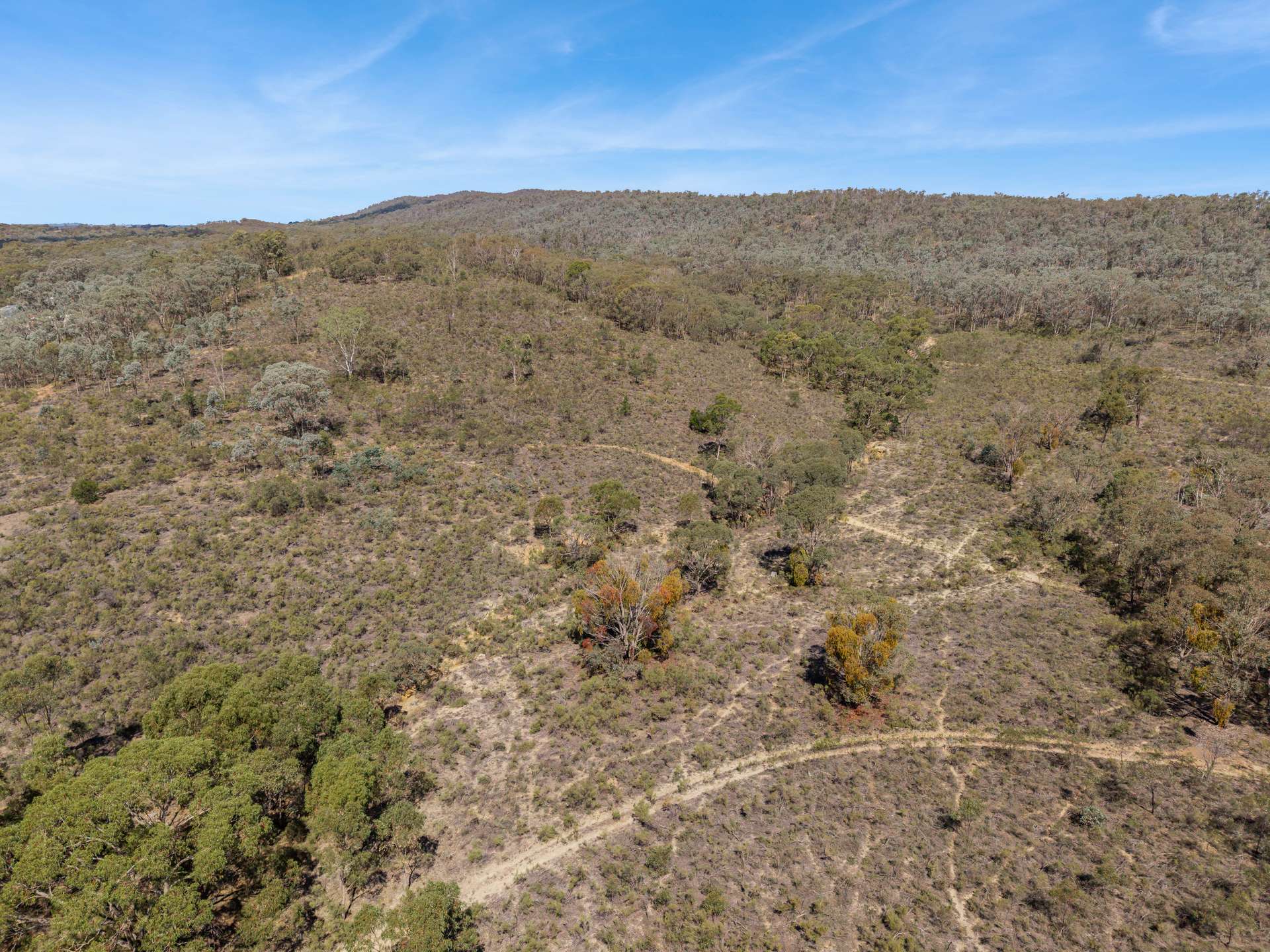 14 Youngs Lane, Heathcote For Sale by Farmbuy.com - image 6
