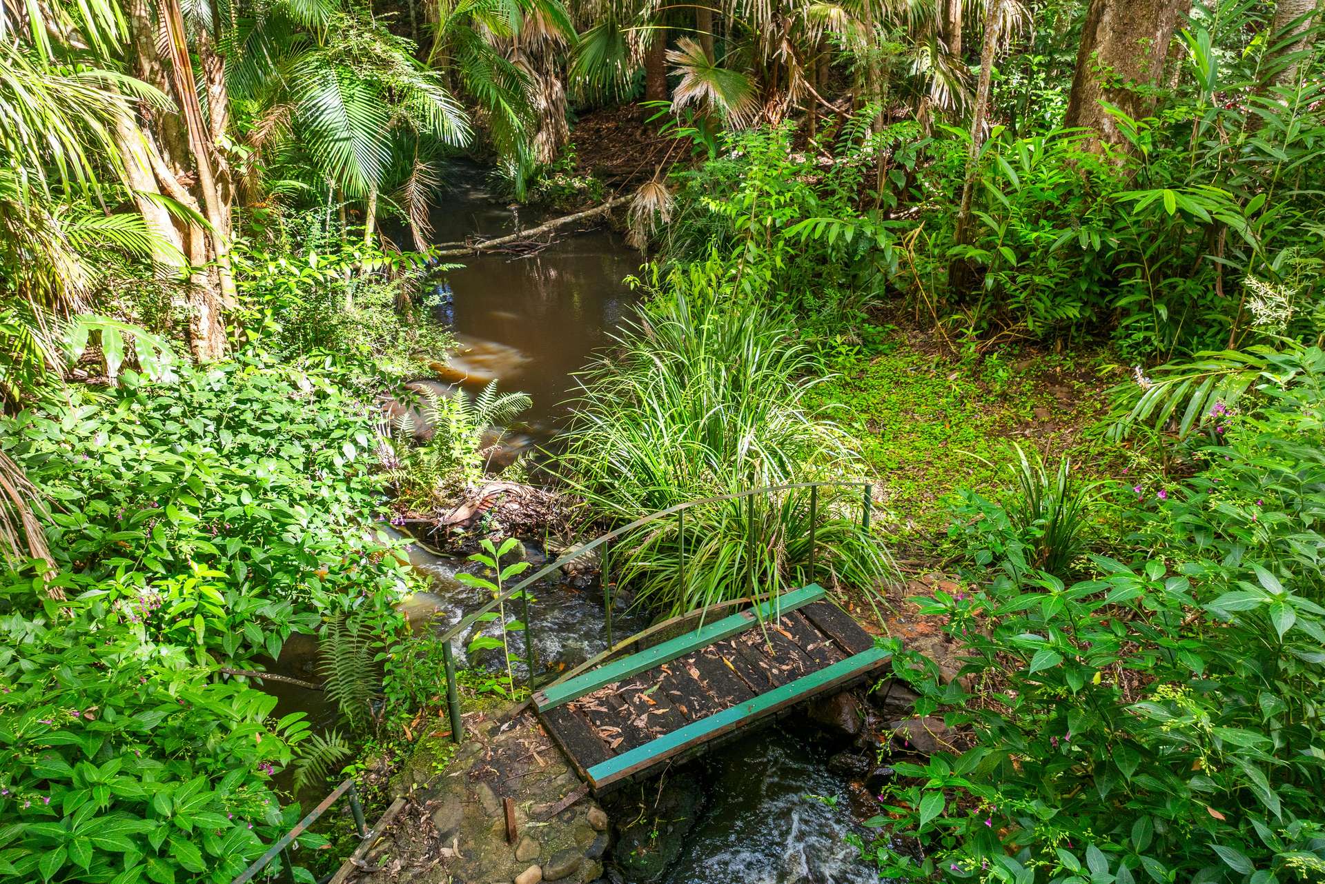 56 Gumland Drive, Witta For Sale by Farmbuy.com - image 31