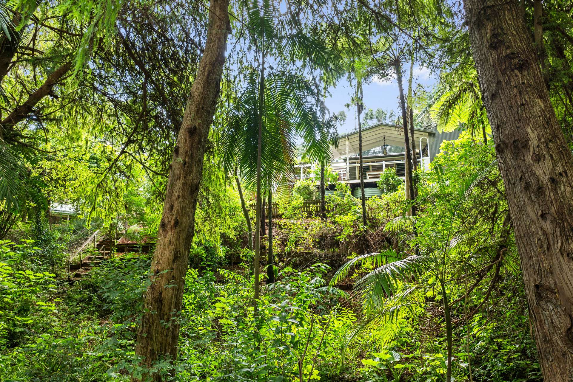 56 Gumland Drive, Witta For Sale by Farmbuy.com - image 32