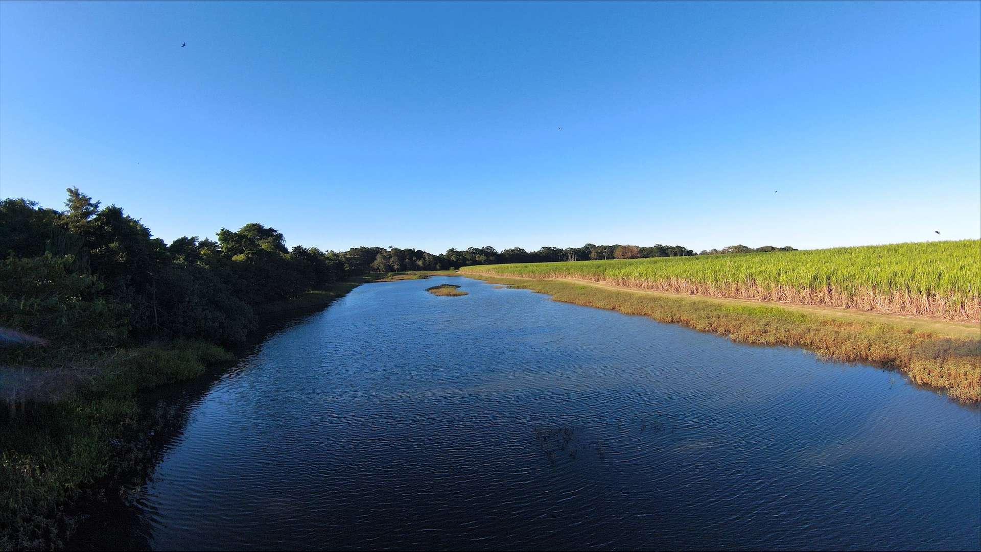 Lot 3 Sugarshed Road, Erakala For Sale by Farmbuy.com - image 4