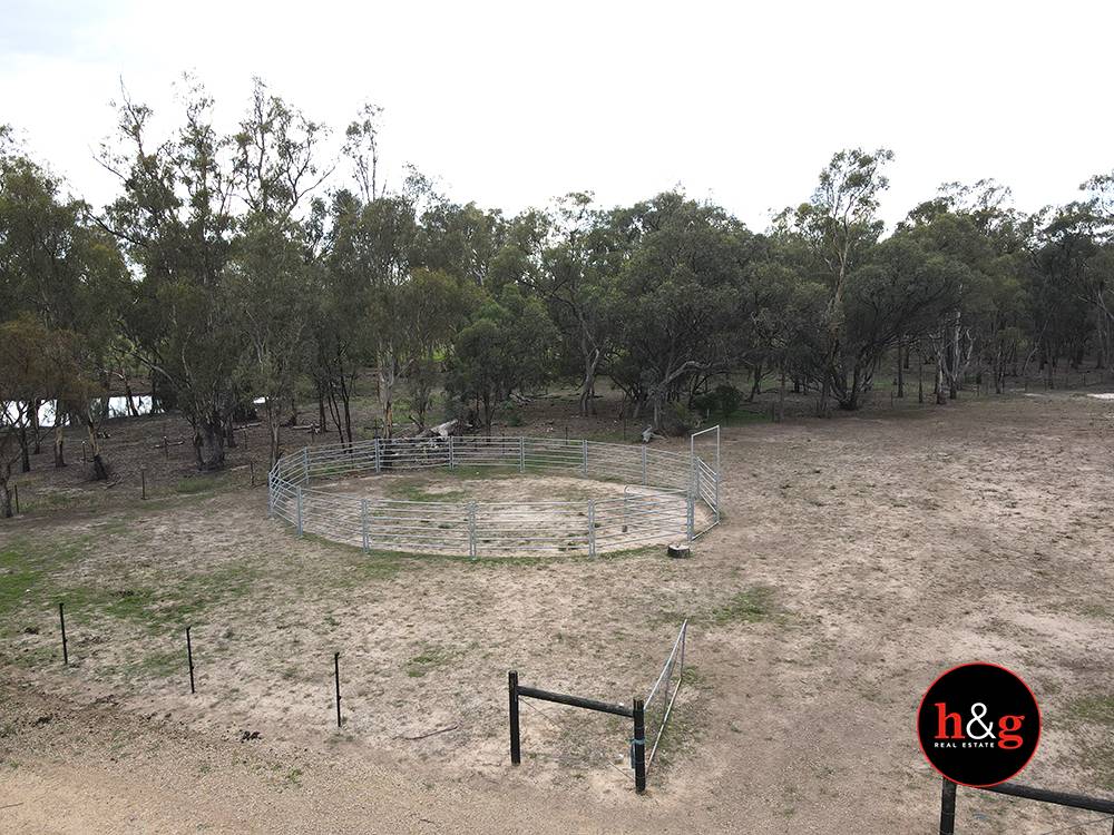 161 Barmah-Shepparton Road, Barmah For Sale by Farmbuy.com - image 5
