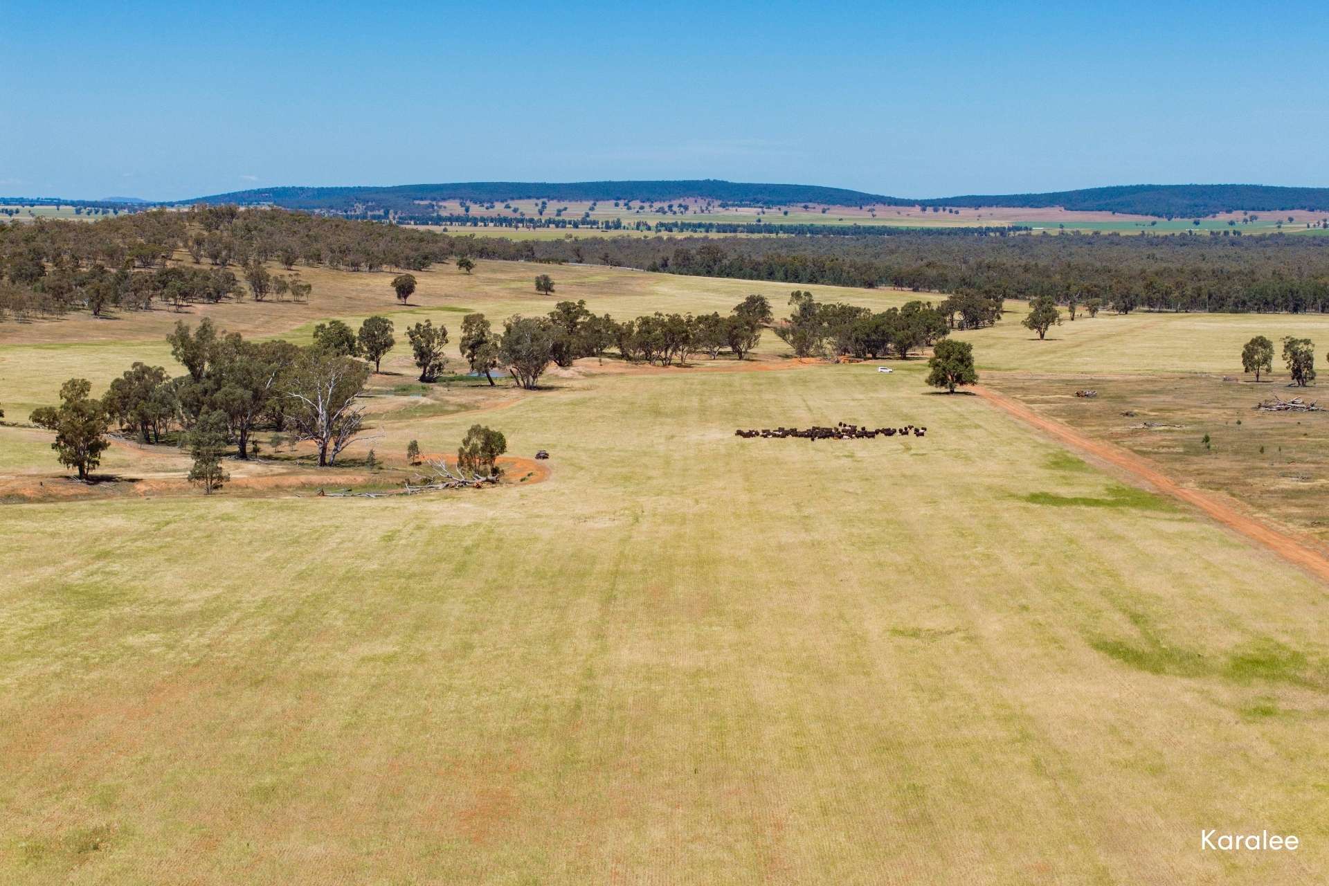 Kamarah Road, Narrandera For Sale by Farmbuy.com - image 6