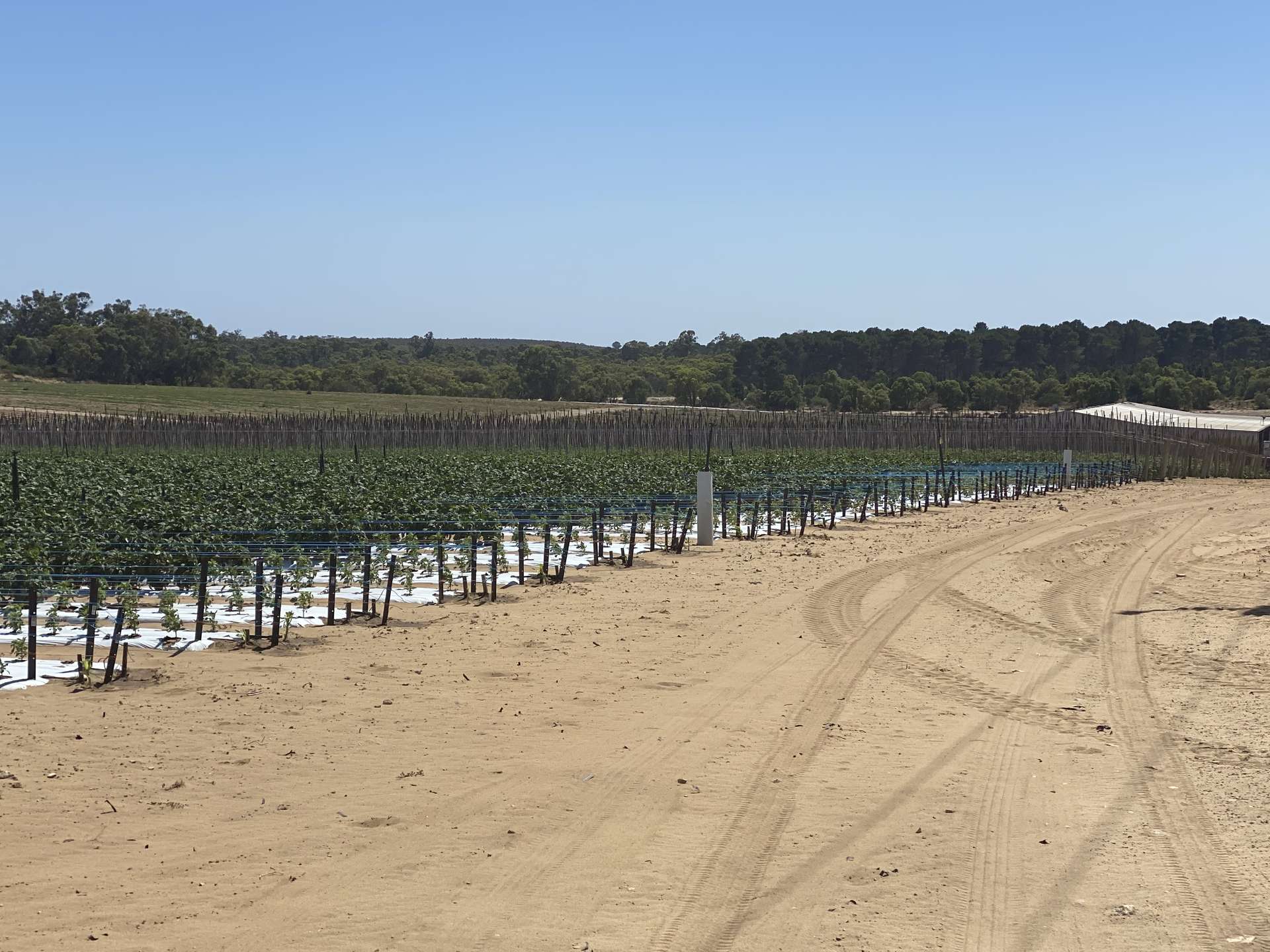 440 Old Yanchep Road, Carabooda For Sale by Farmbuy.com - image 25
