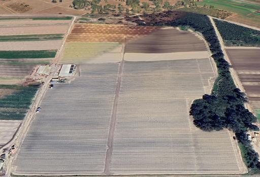 Farm For Sale - WA - Carabooda - 6033 - PRIME 61.74 ACRE LONG ESTABLISHED MARKET GARDEN/STRAWBERRY FARM 