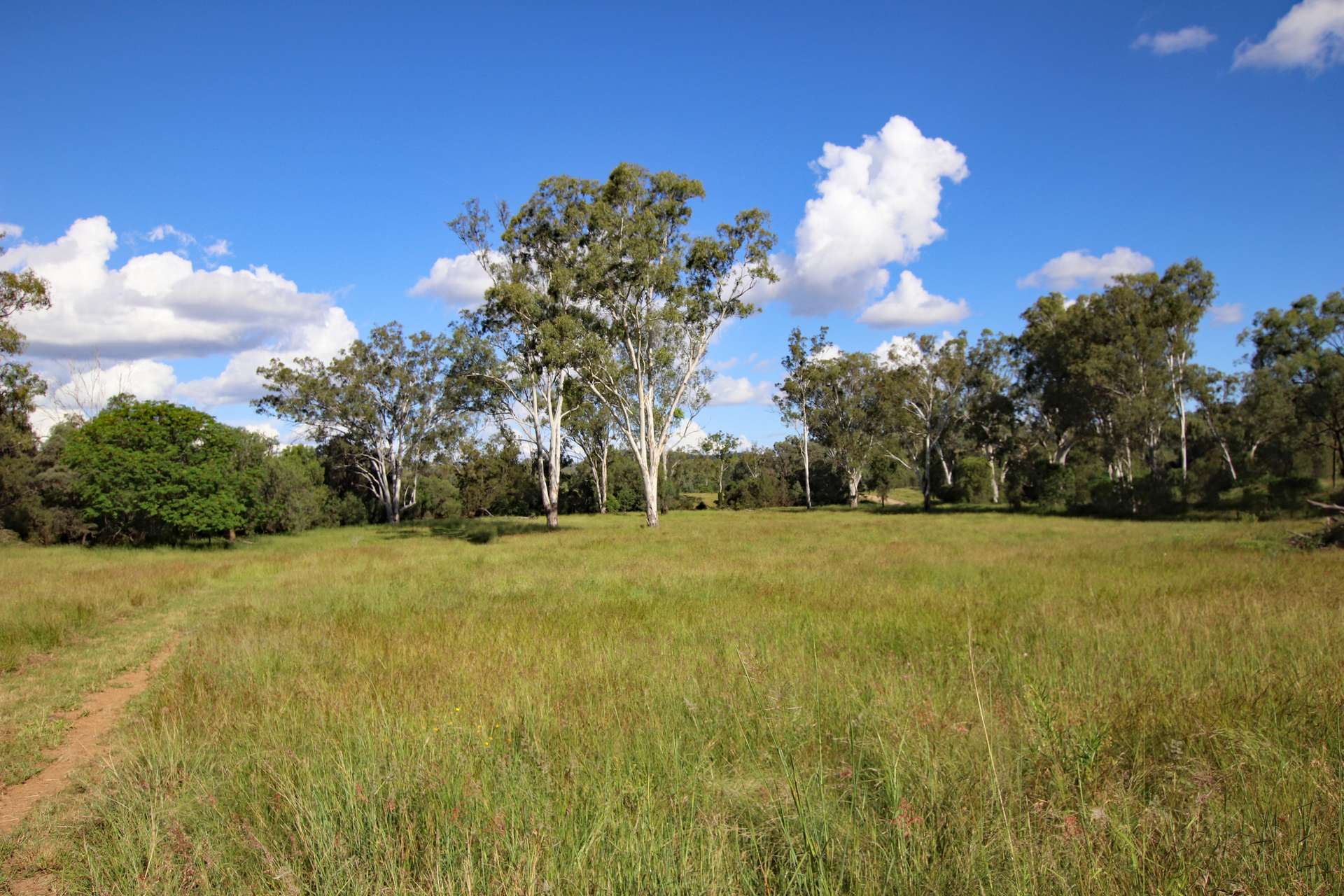 "Scrubview" Frawleys Road, Thangool Sold by Farmbuy.com - image 9