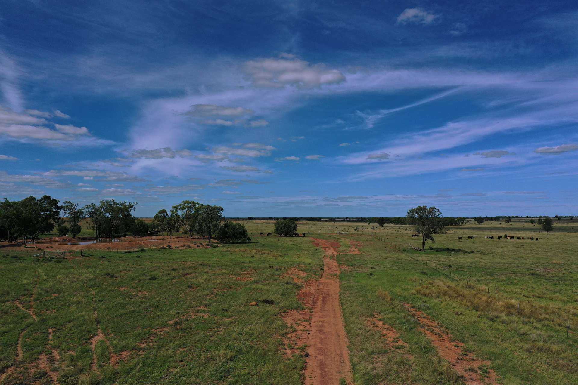 952 Yuleba Surat Road, Yuleba For Sale by Farmbuy.com - image 28