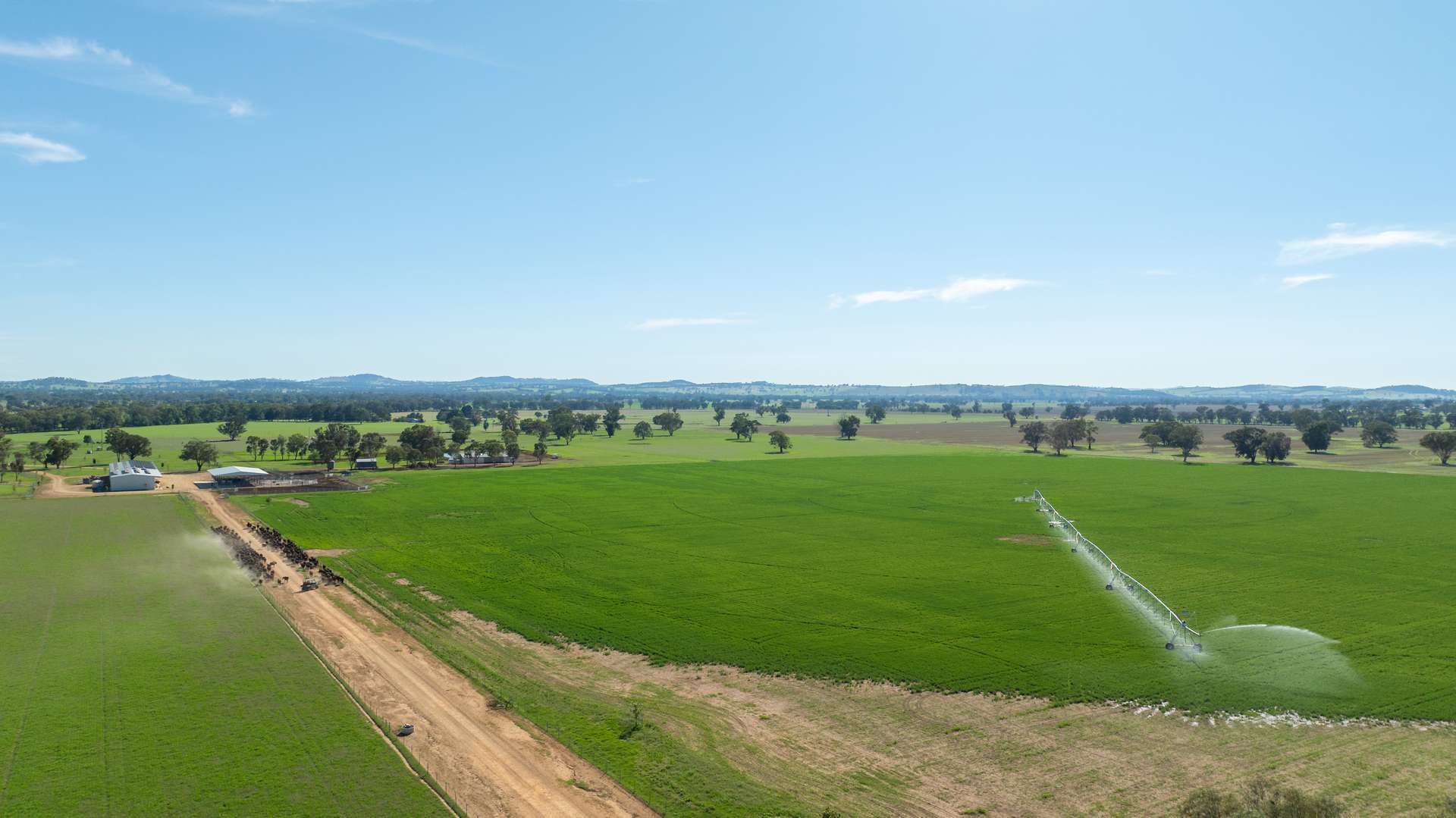 1948 Coach Road, Morven For Sale by Farmbuy.com - image 30