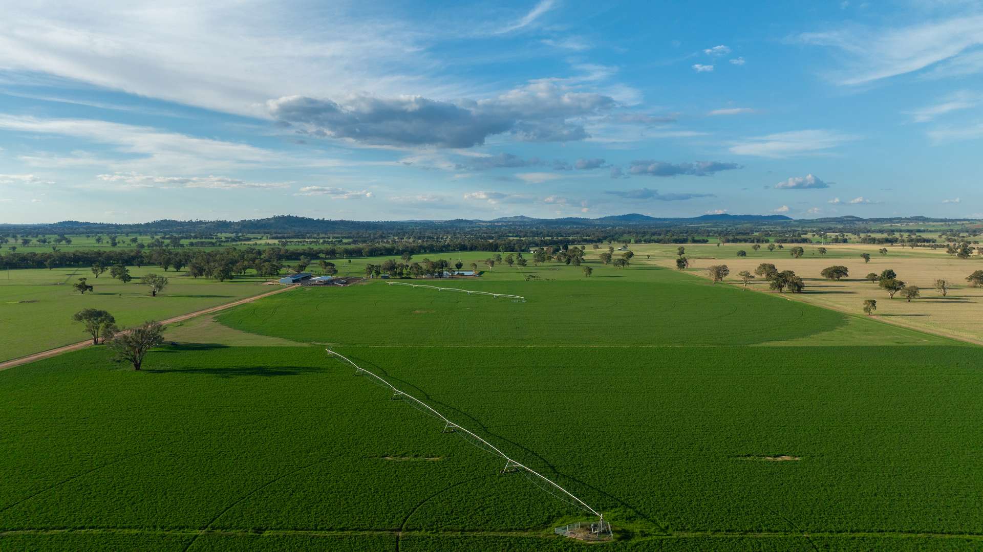 1948 Coach Road, Morven For Sale by Farmbuy.com - image 21