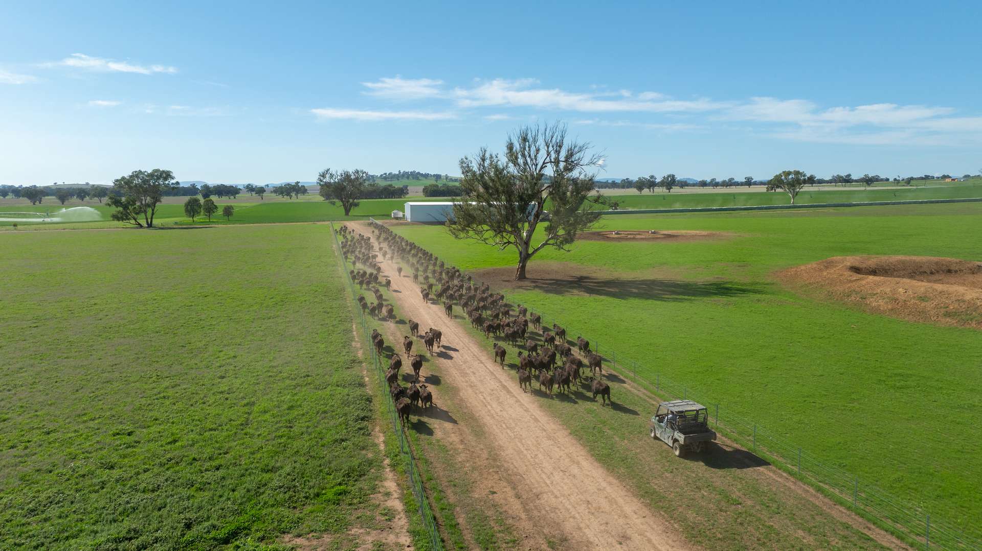 1948 Coach Road, Morven For Sale by Farmbuy.com - image 29
