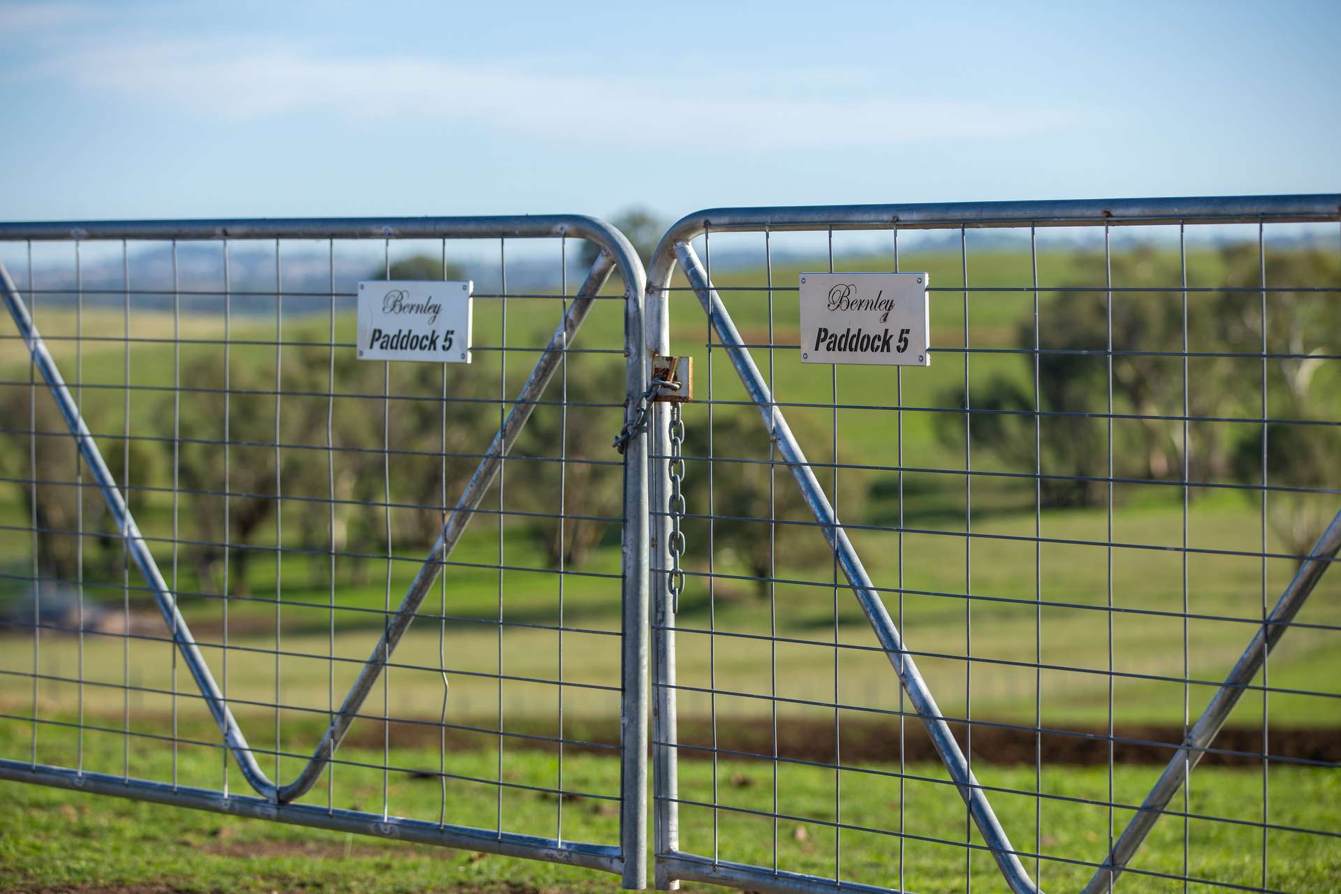 1948 Coach Road, Morven For Sale by Farmbuy.com - image 33
