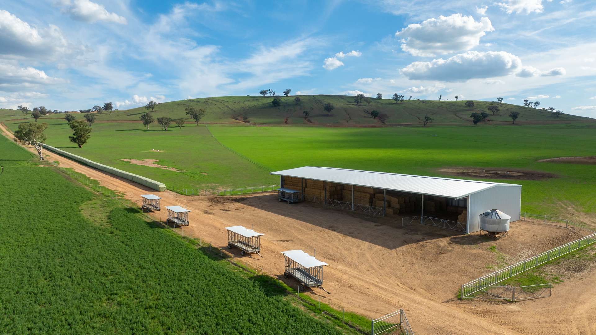 1948 Coach Road, Morven For Sale by Farmbuy.com - image 6