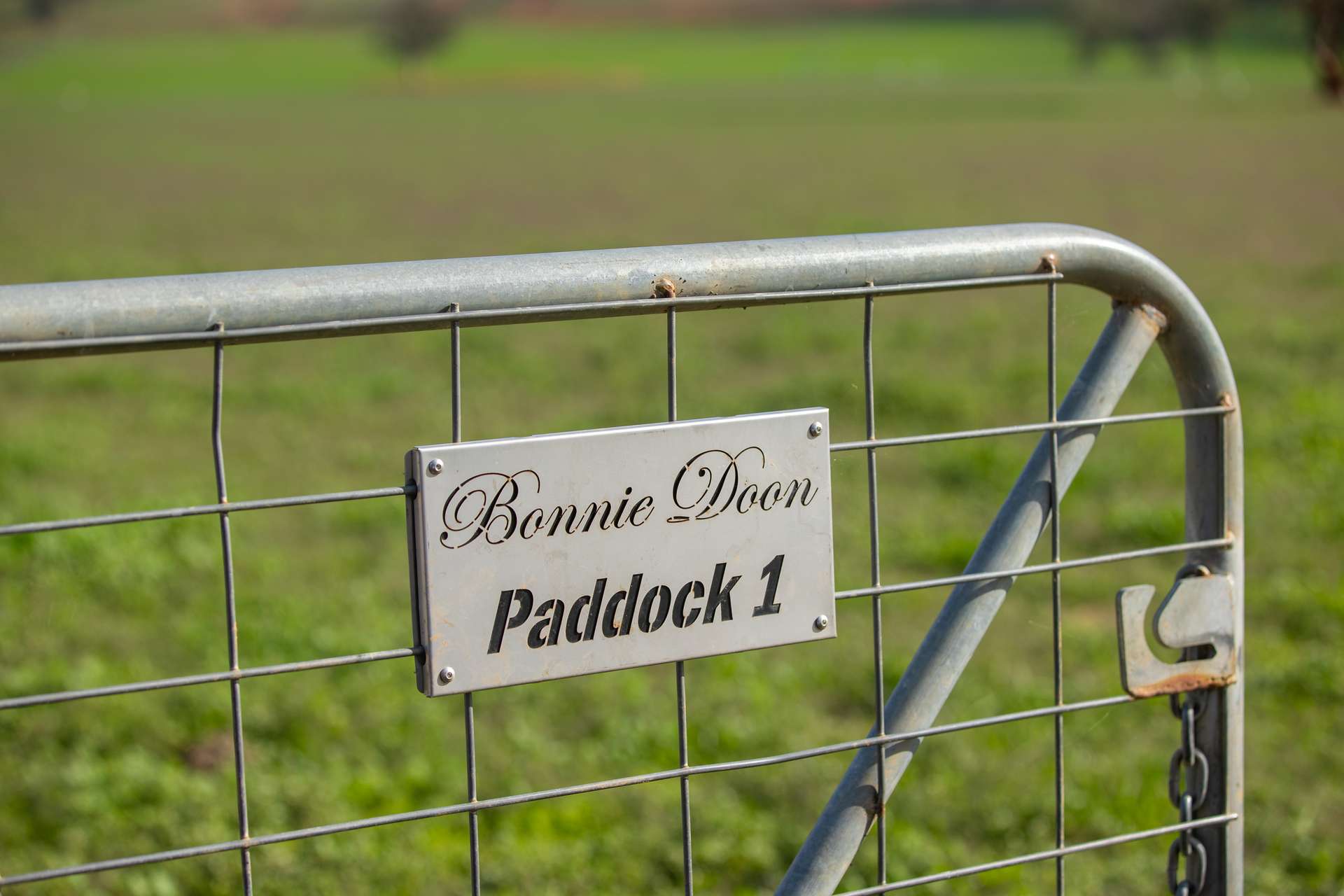 1948 Coach Road, Morven For Sale by Farmbuy.com - image 7